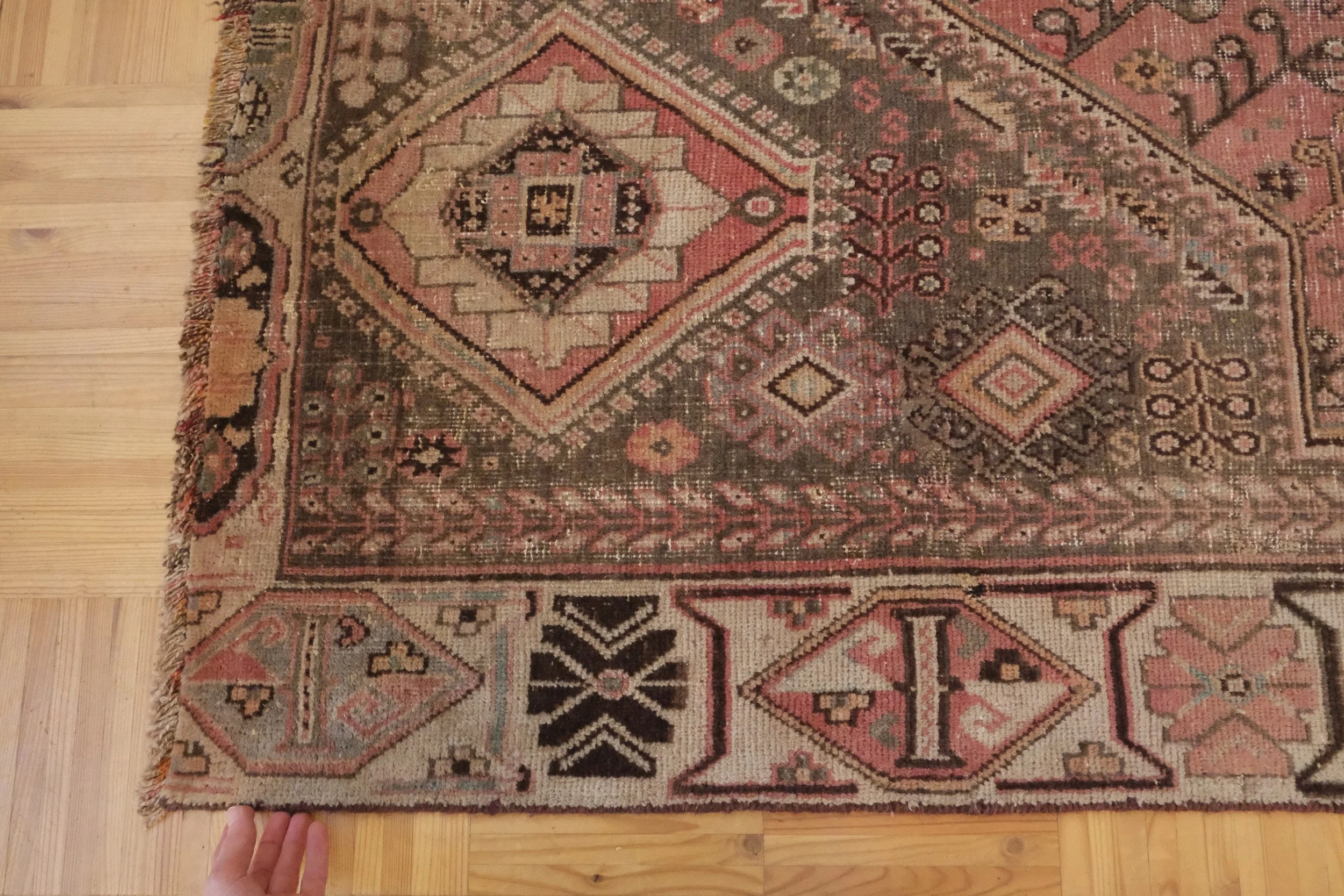 earthy color palette