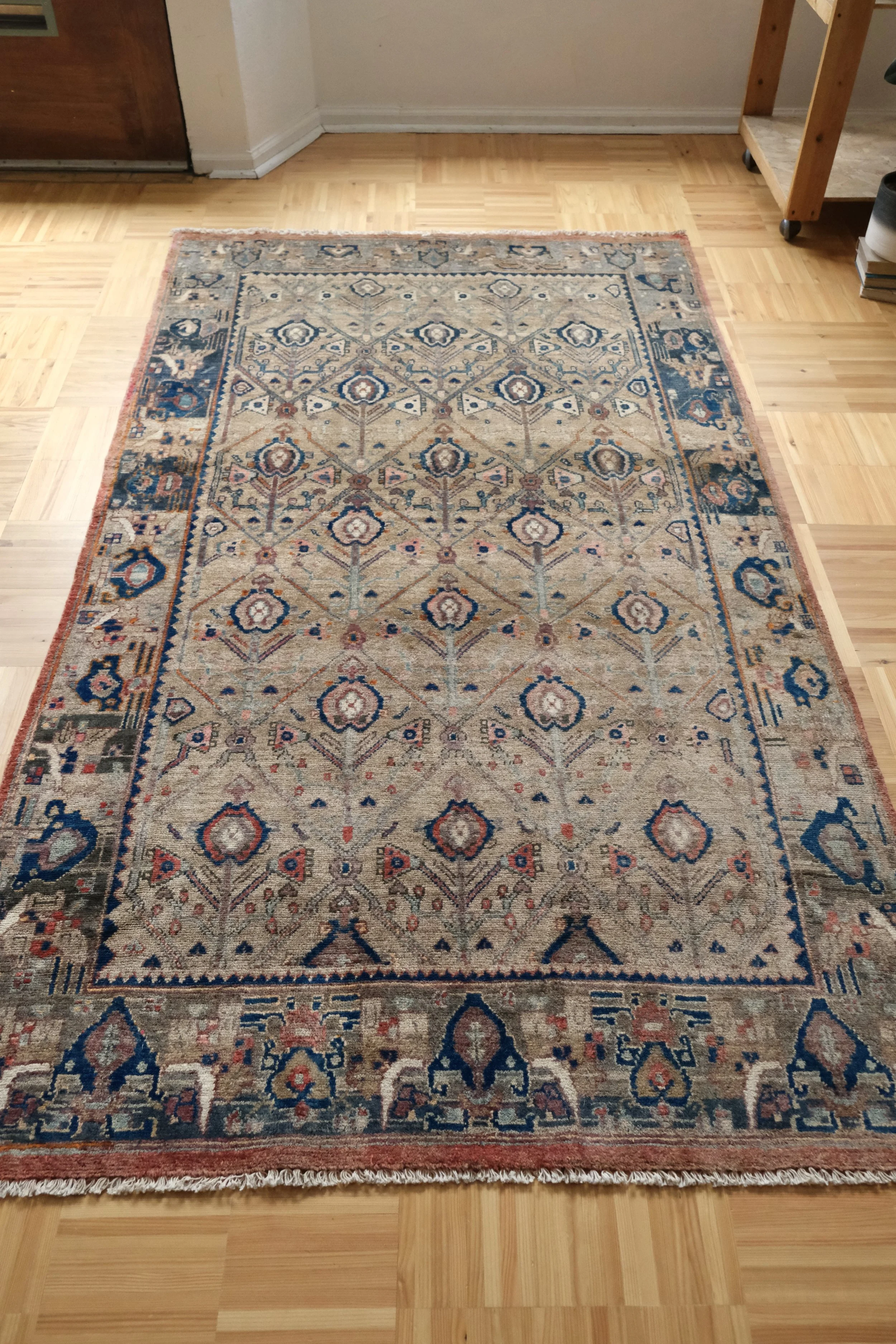 peacock feather design