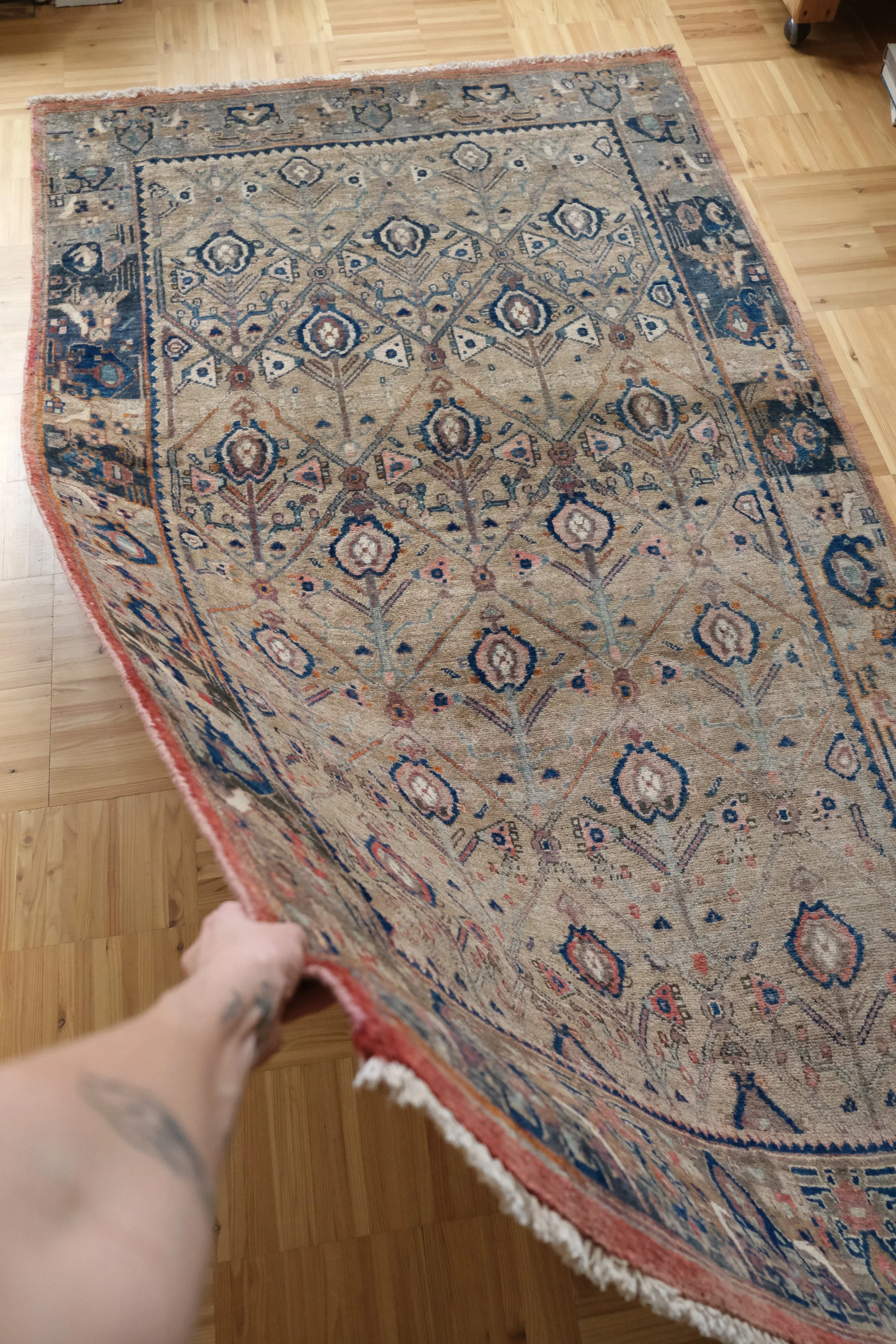 geometric area rugs