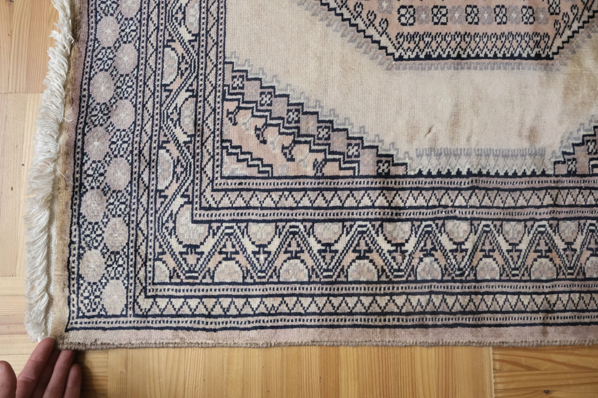 rare square sized rug
