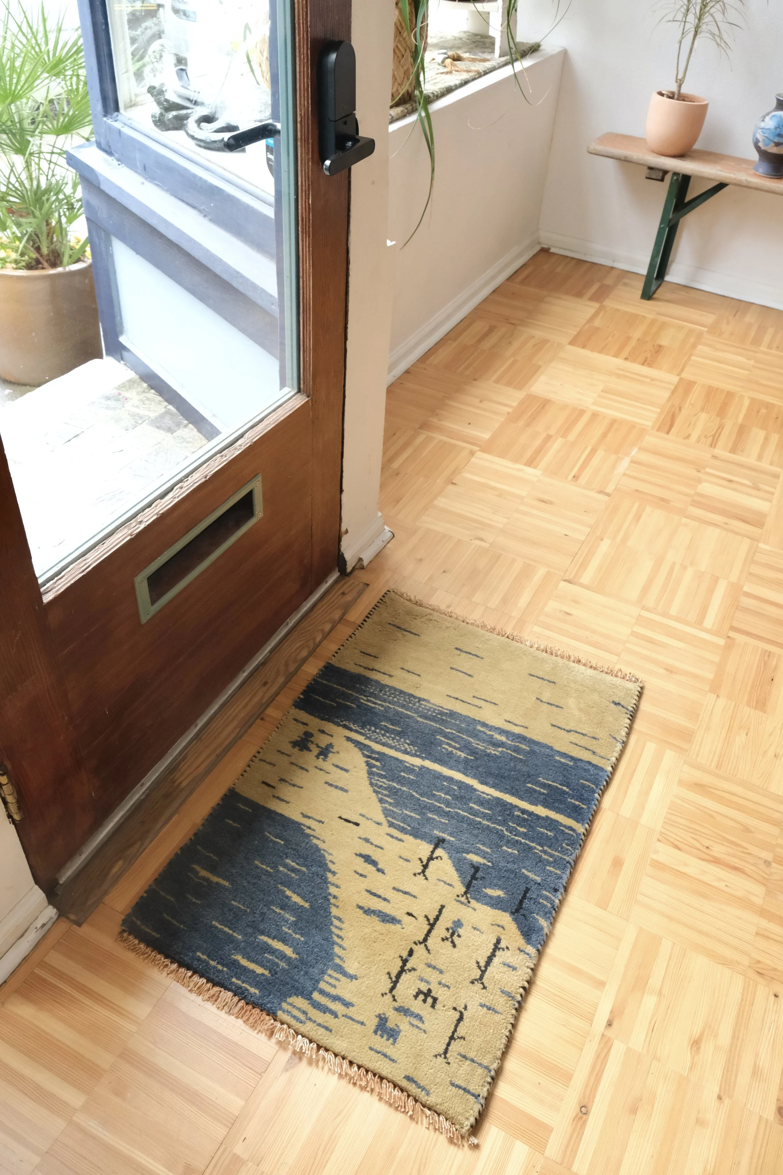 mudroom rugs