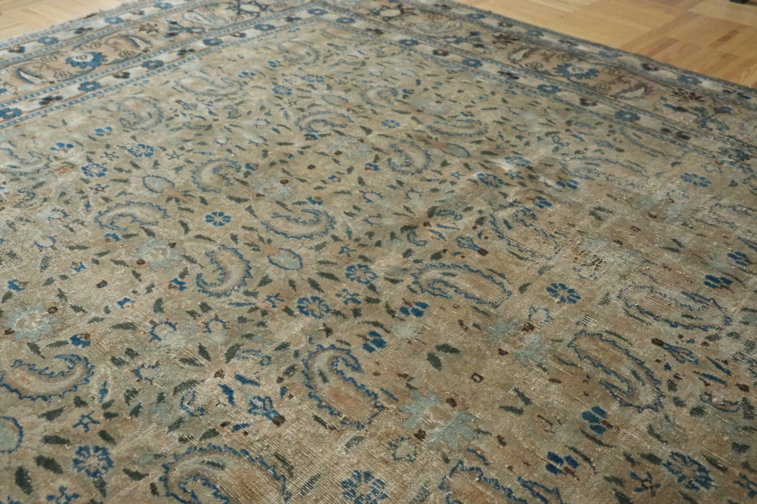 designer home decor trends