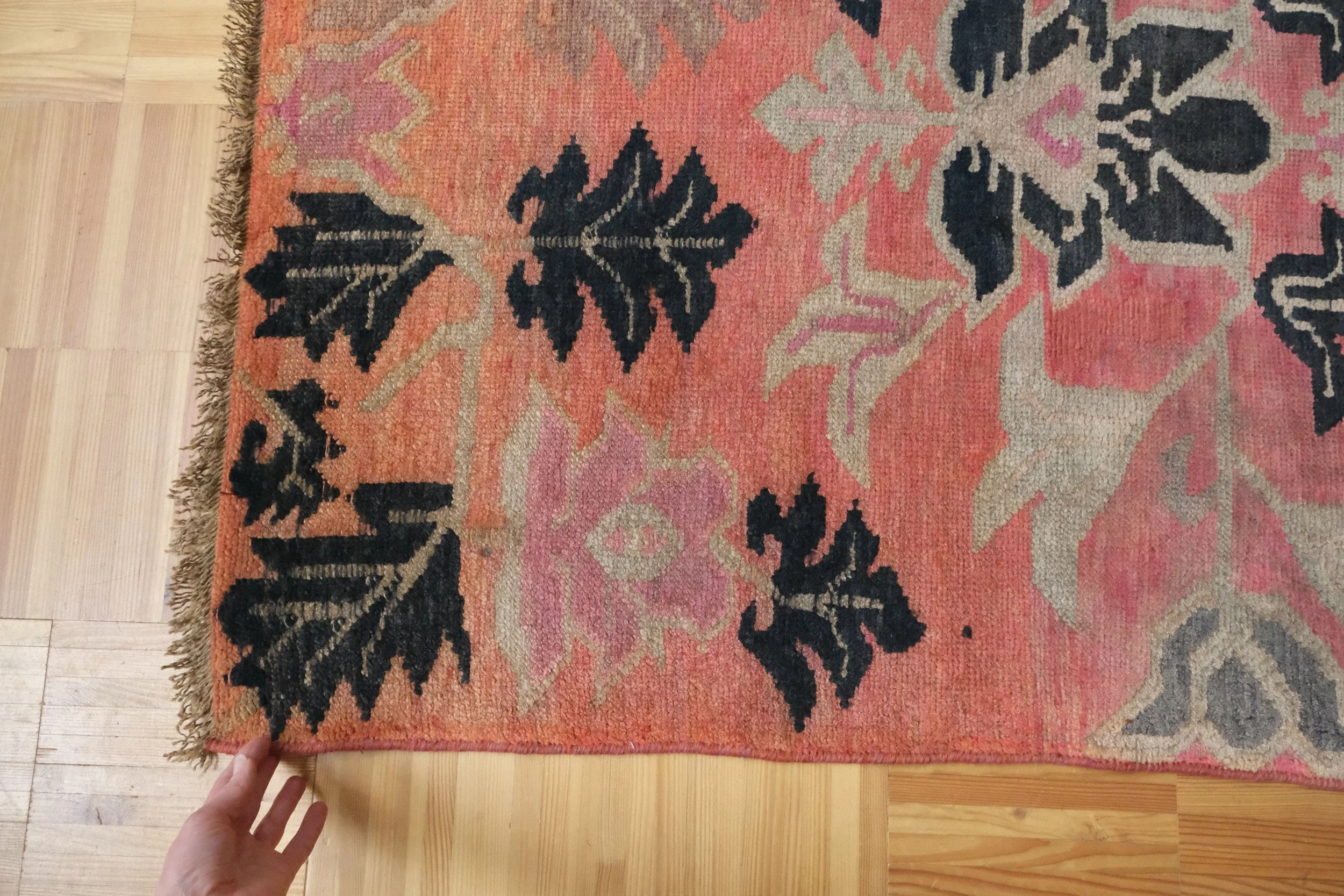 rare and unusual finds