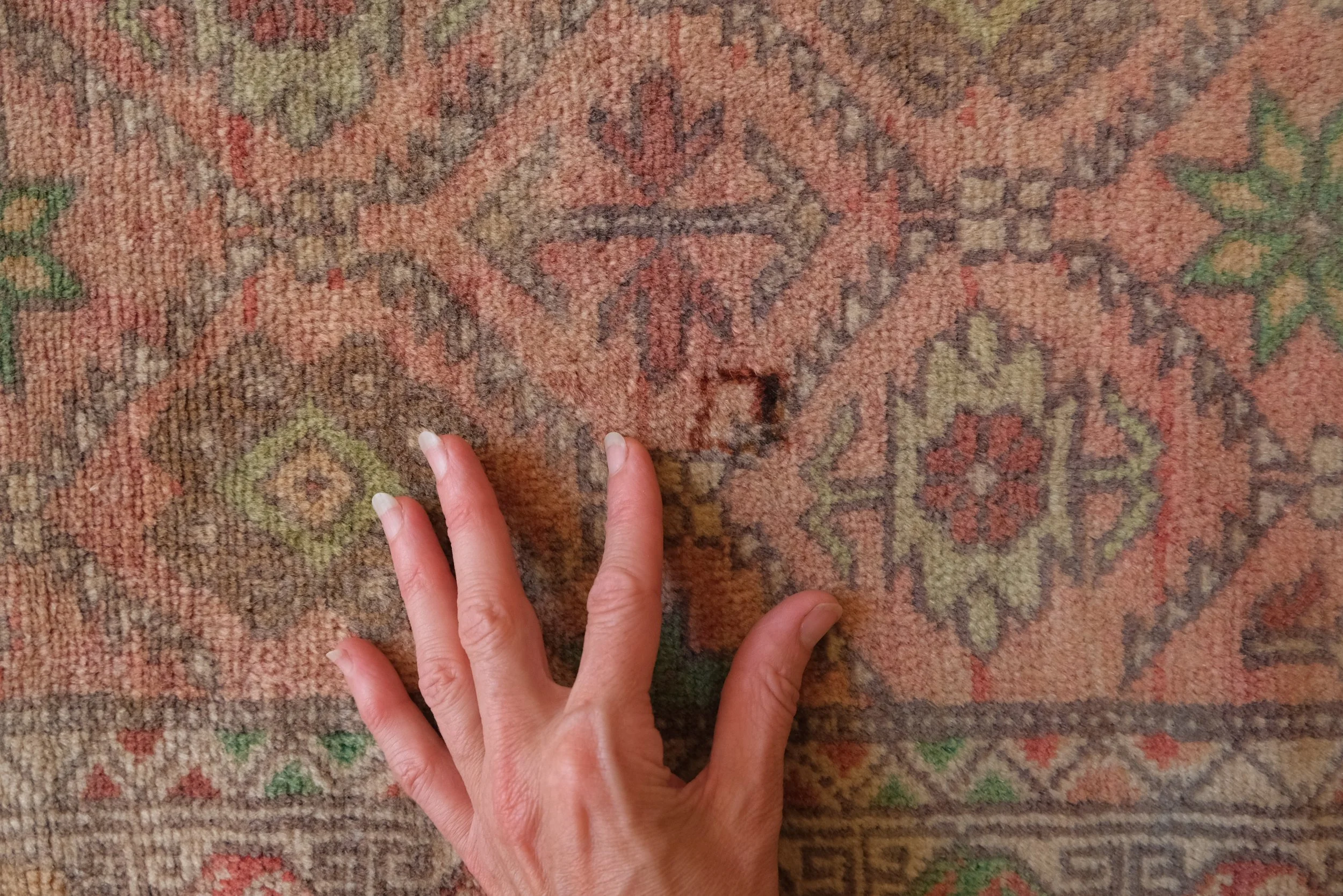 best rug ideas for homes with kids and pets