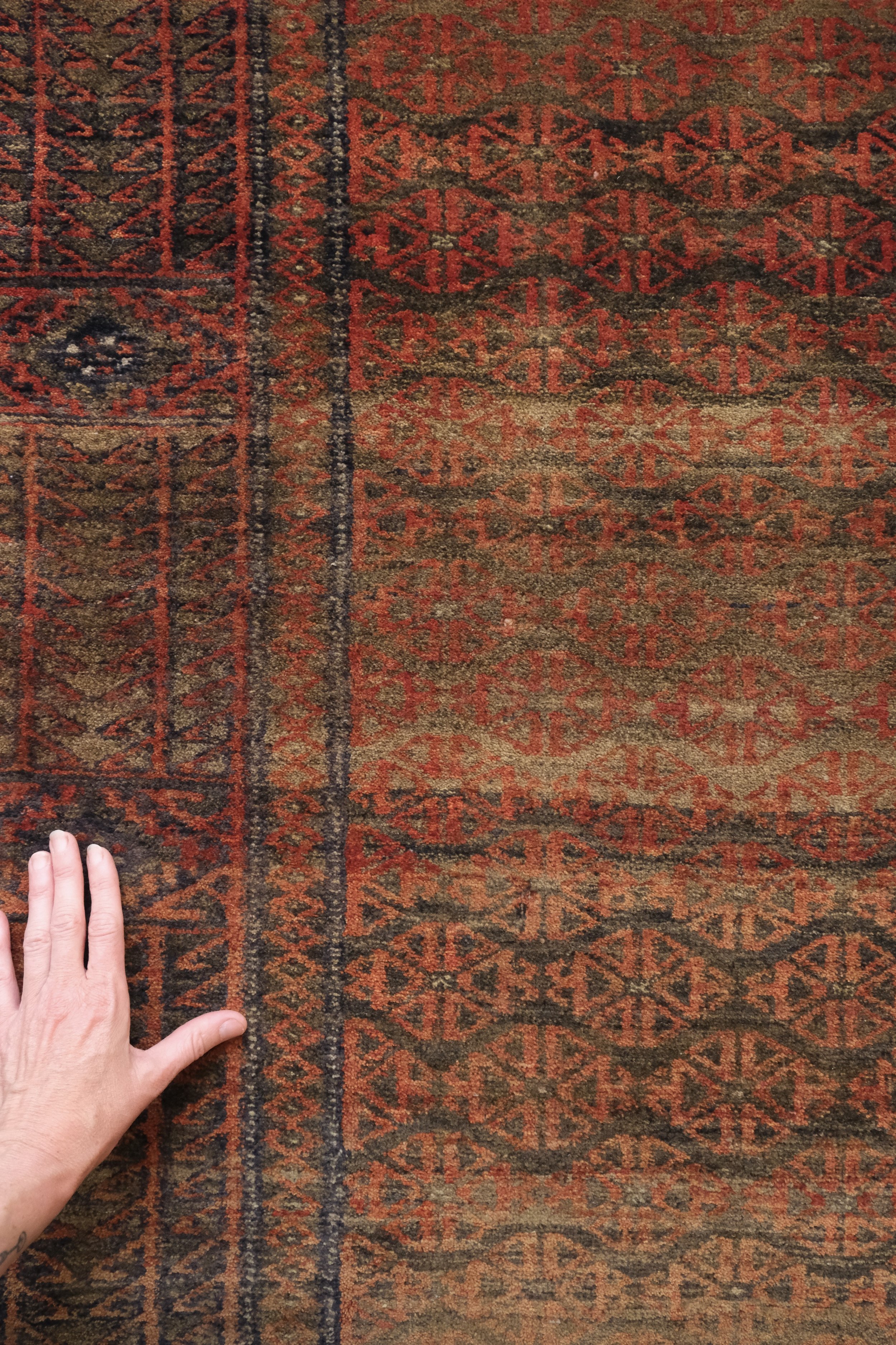 rugs for homes with pets