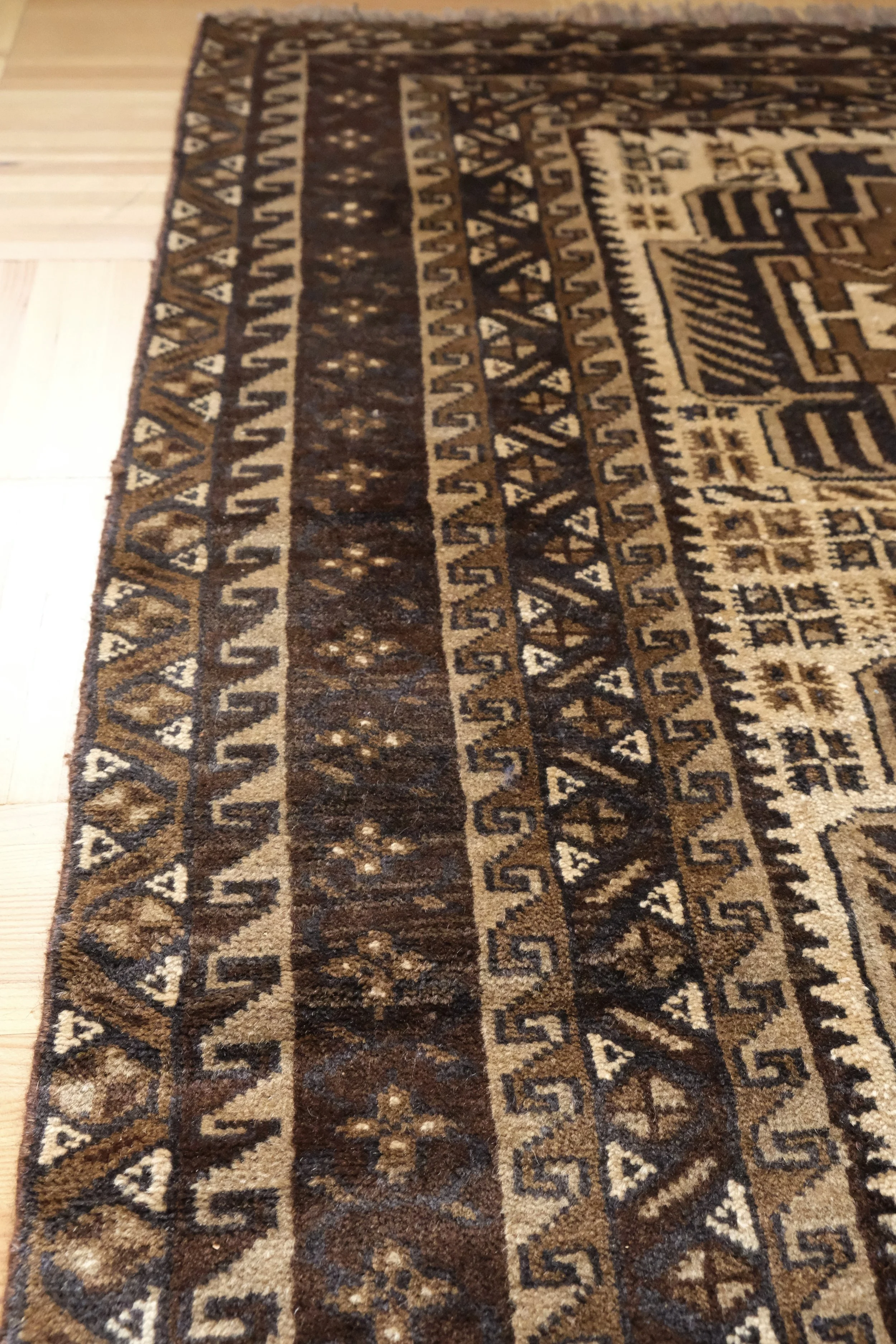 midcentury styled homes