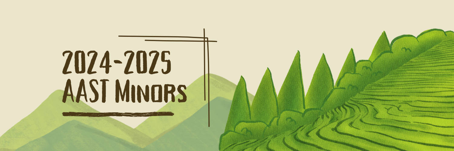 2024-2025 AAST Minors.png