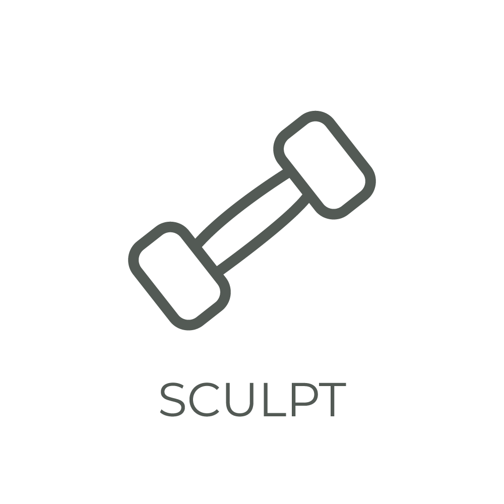 LCC-Icons-sculpt.png