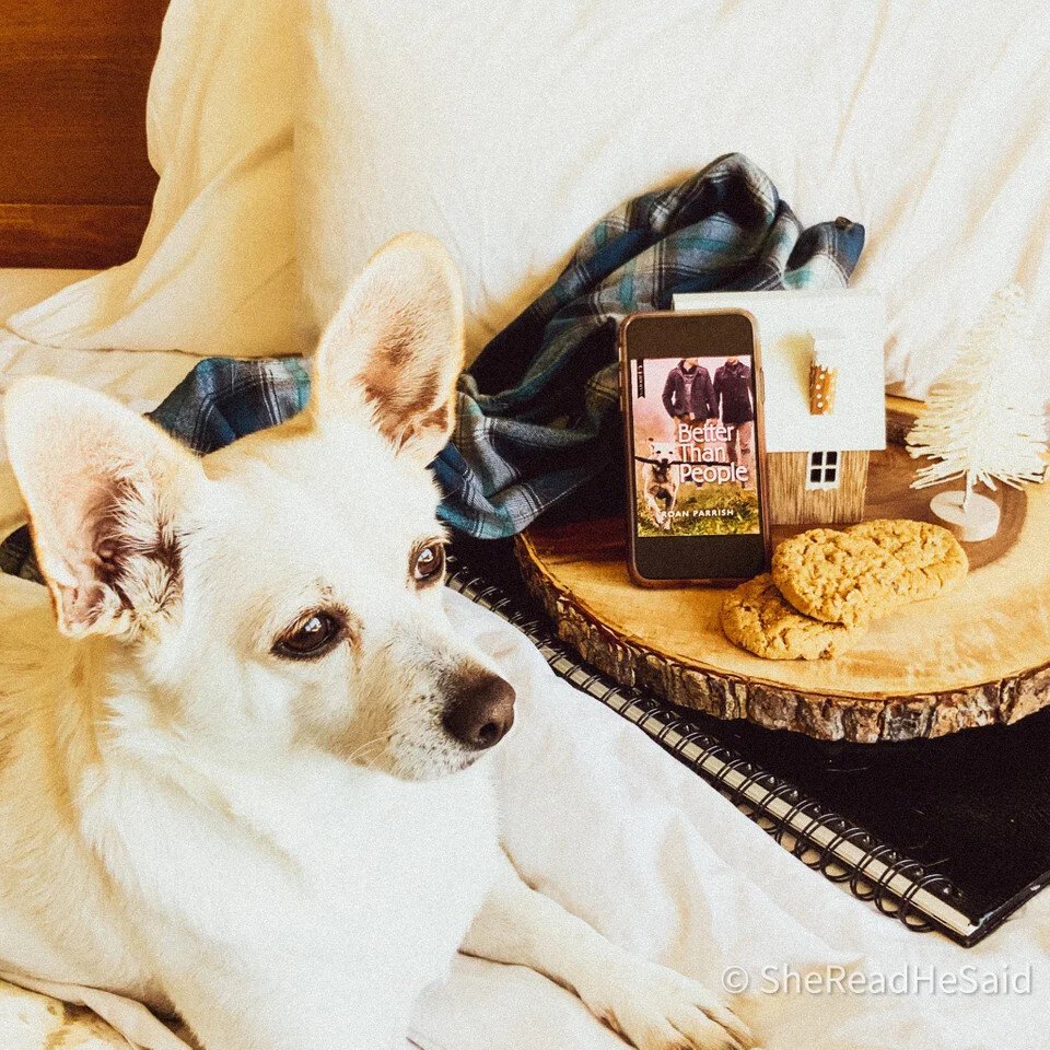 BETTER THAN PEOPLE by Roan Parrish