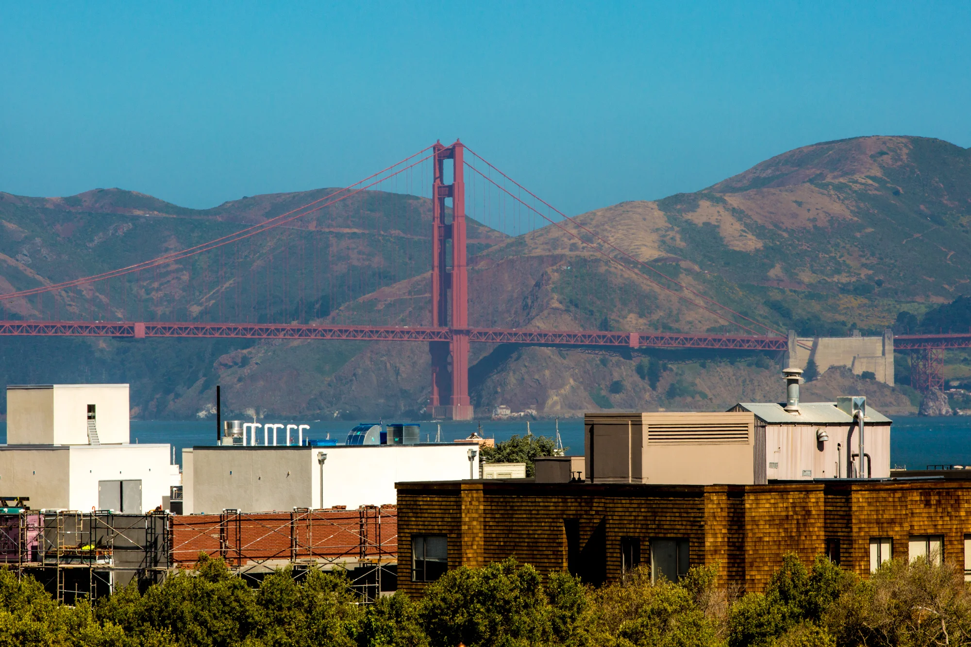 pLGoldenGate--4.jpg
