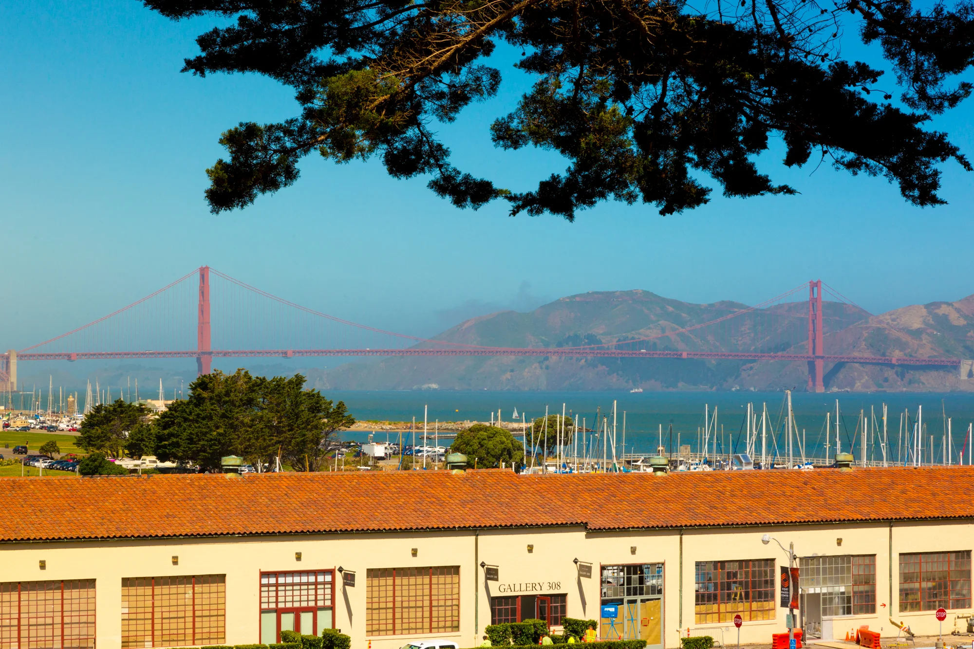 pLGoldenGate-1253.jpg