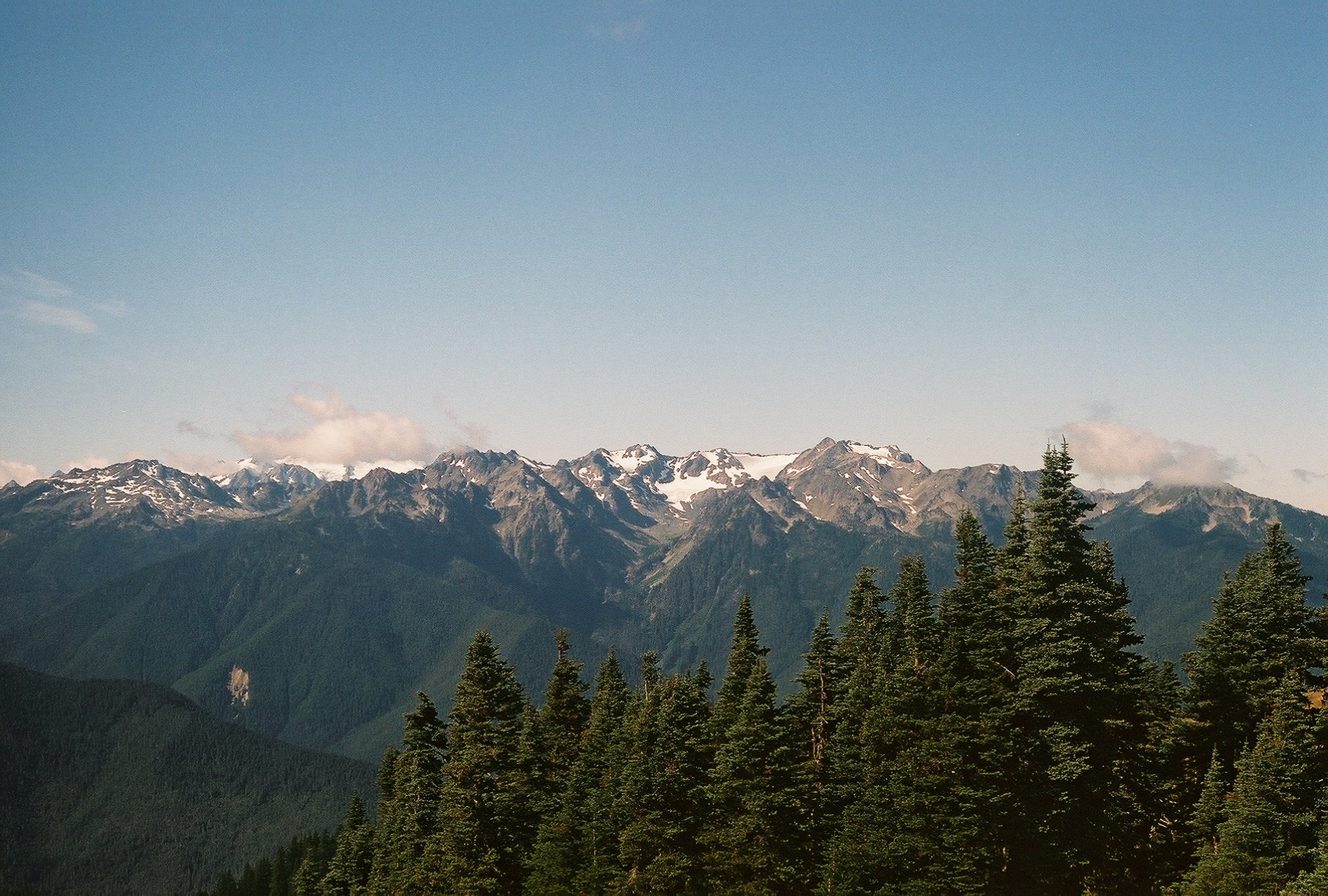 IMG_3106.JPG