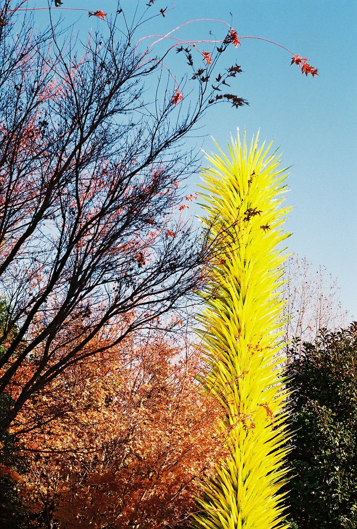 R1-08166-016A.JPG