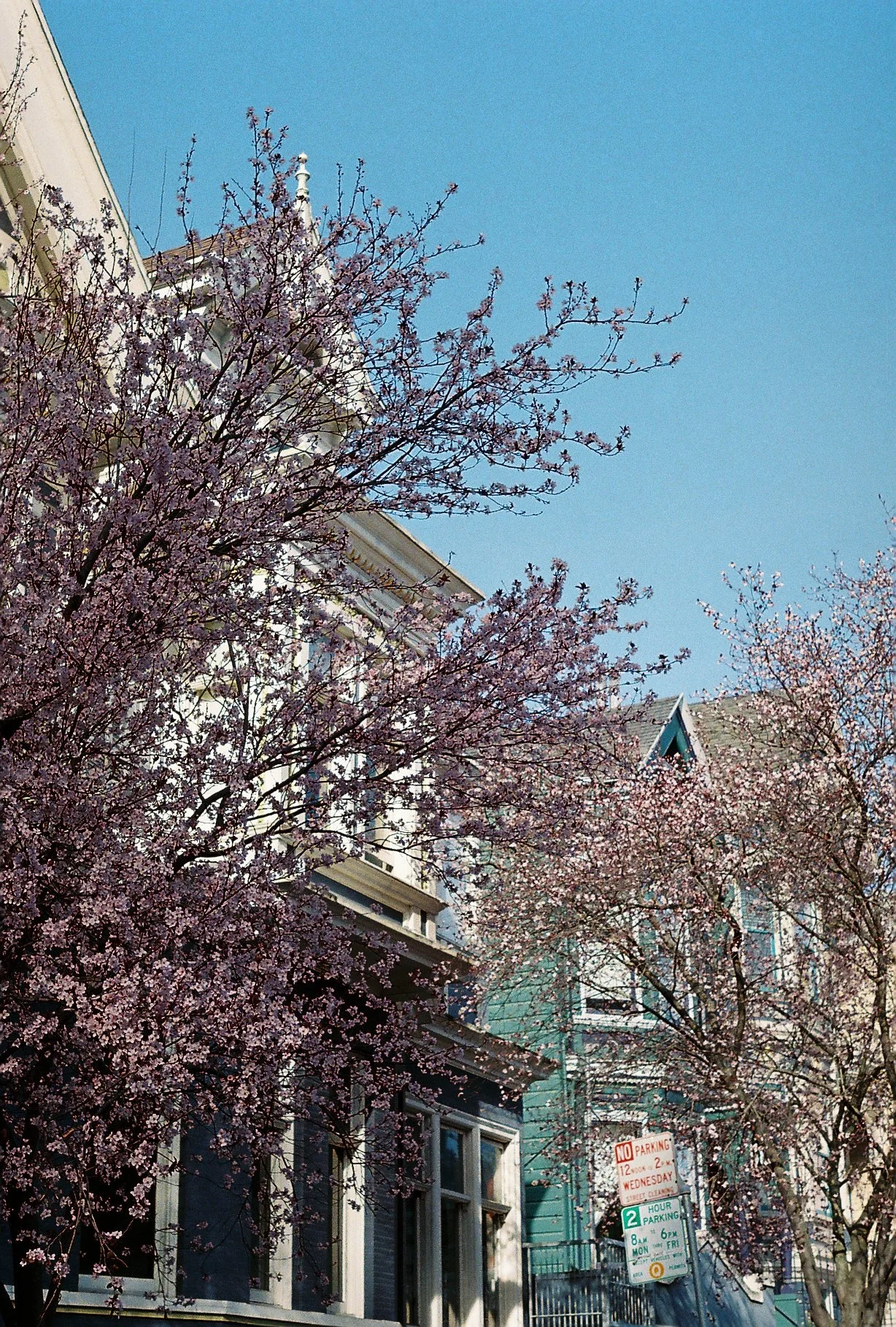 R1-02677-0008.JPG