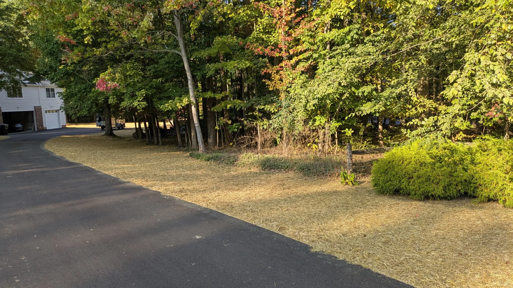 Fall Lawn Rejuvenation