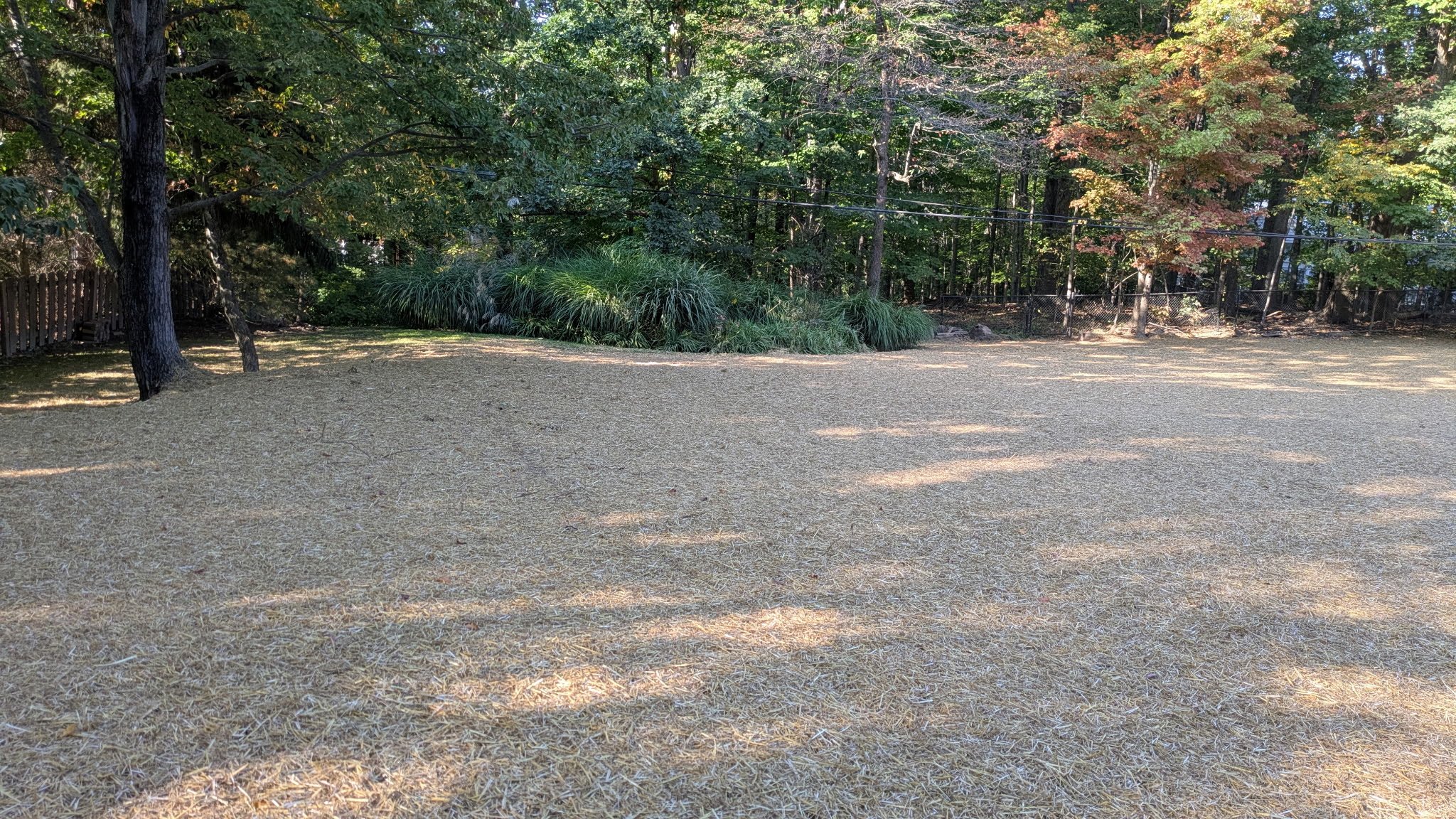 1340557142496989559.JPG
