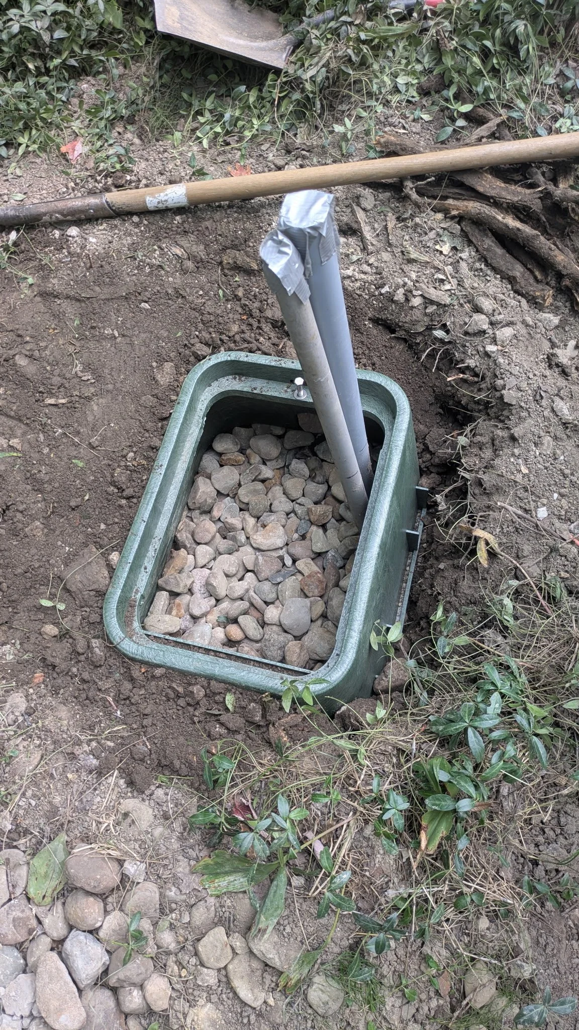 1833252902948349150 2.JPG