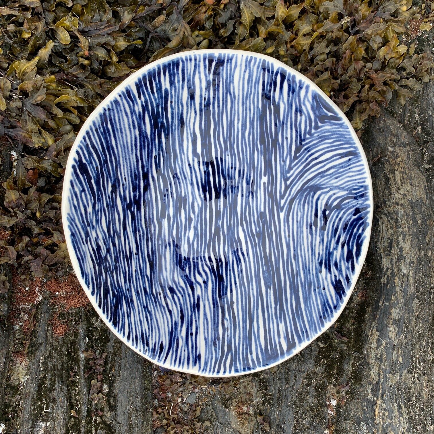 sm shallow bowl 1.jpg