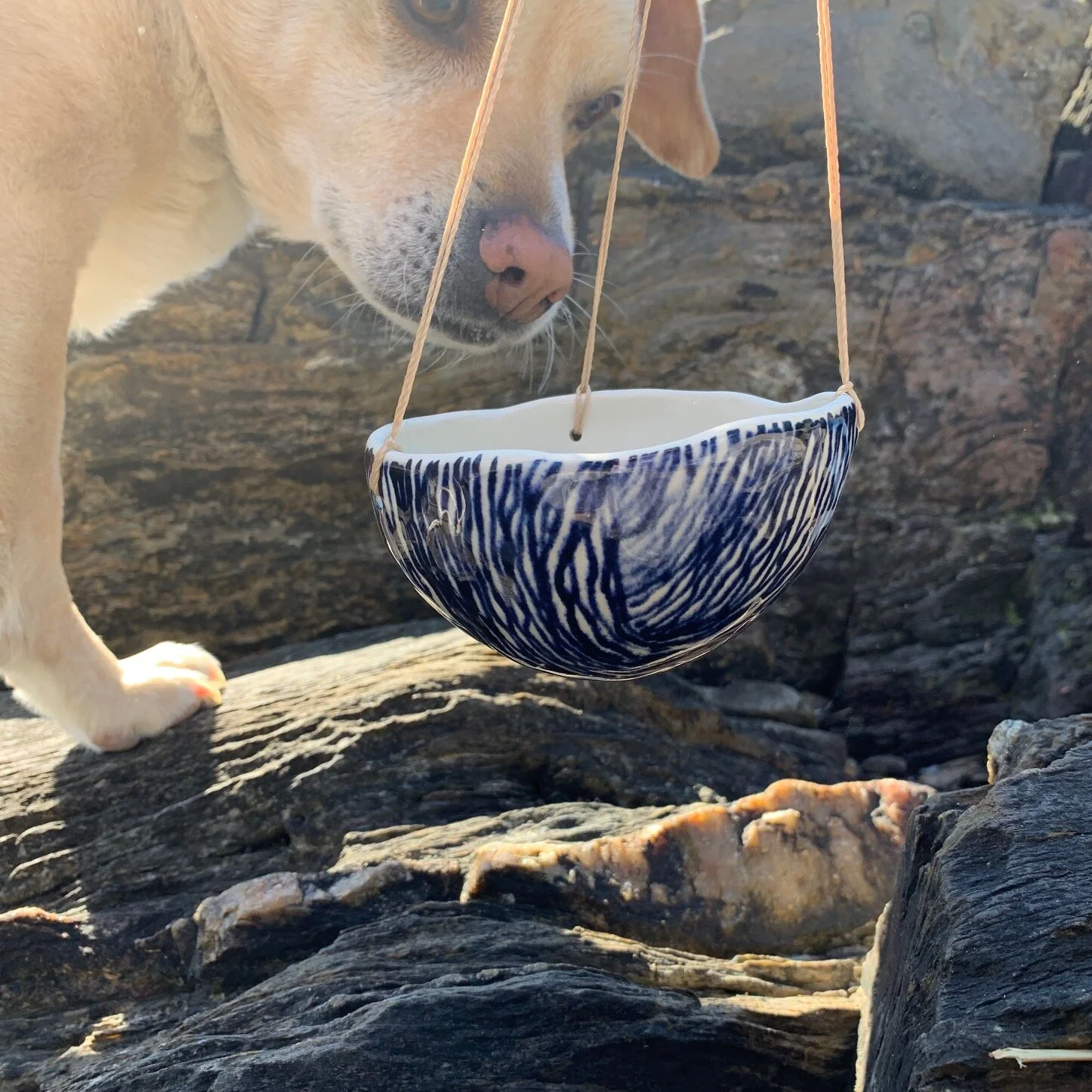 BHP hanging planter with Jack.jpg