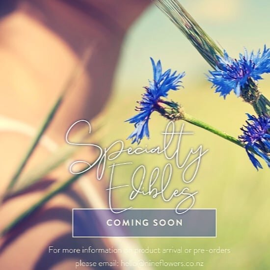 Specialty edibles from The Picking Garden @nineflowers.nz in store next week...

#summerseason #gatherings #gratitude🙏 #bespokeorders #smallbatch #nzlocalbusiness #edibledriedflowers #driededibleflowers #ediblebotanicals #ediblegarnish #flourish #flowerpower #plantmedicine