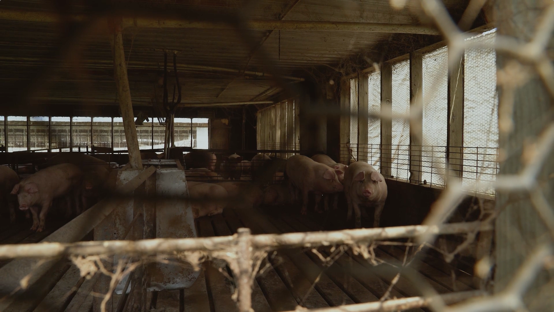 Screen Shot 2018-06-08 at 1.06.45 AM.png