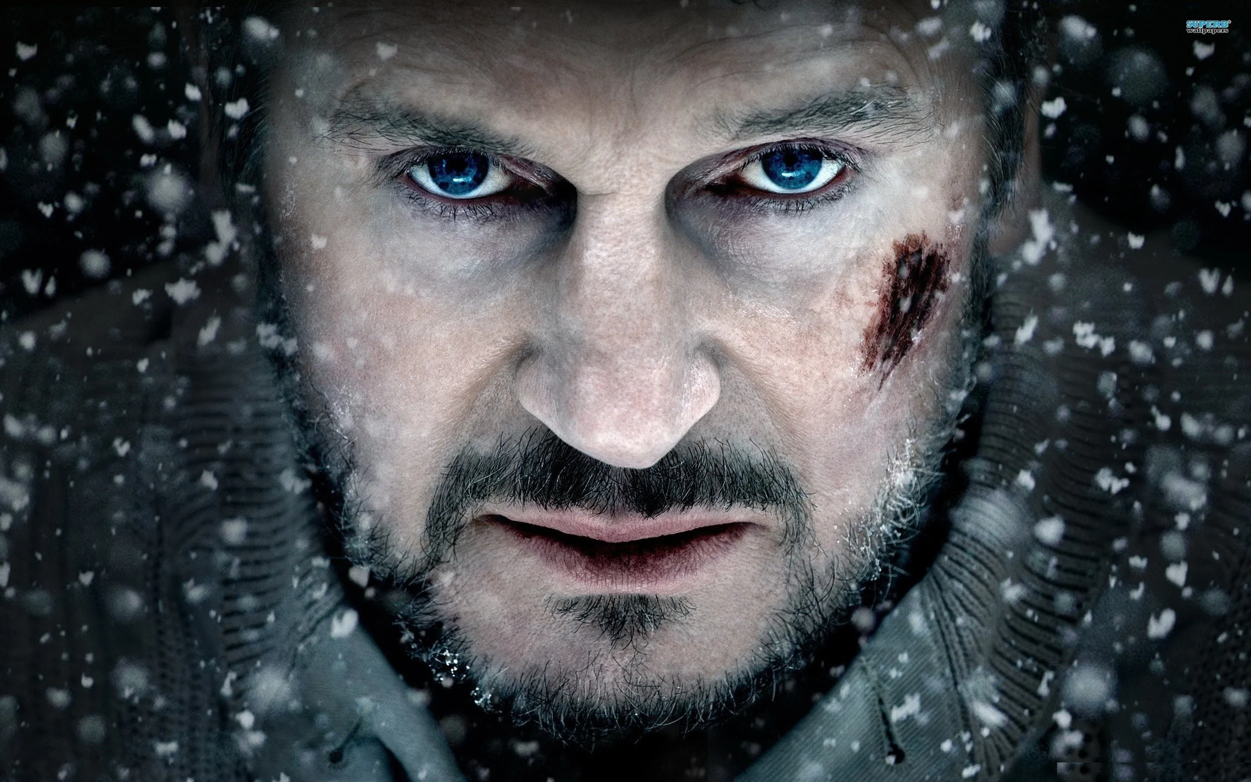 4. The Grey
