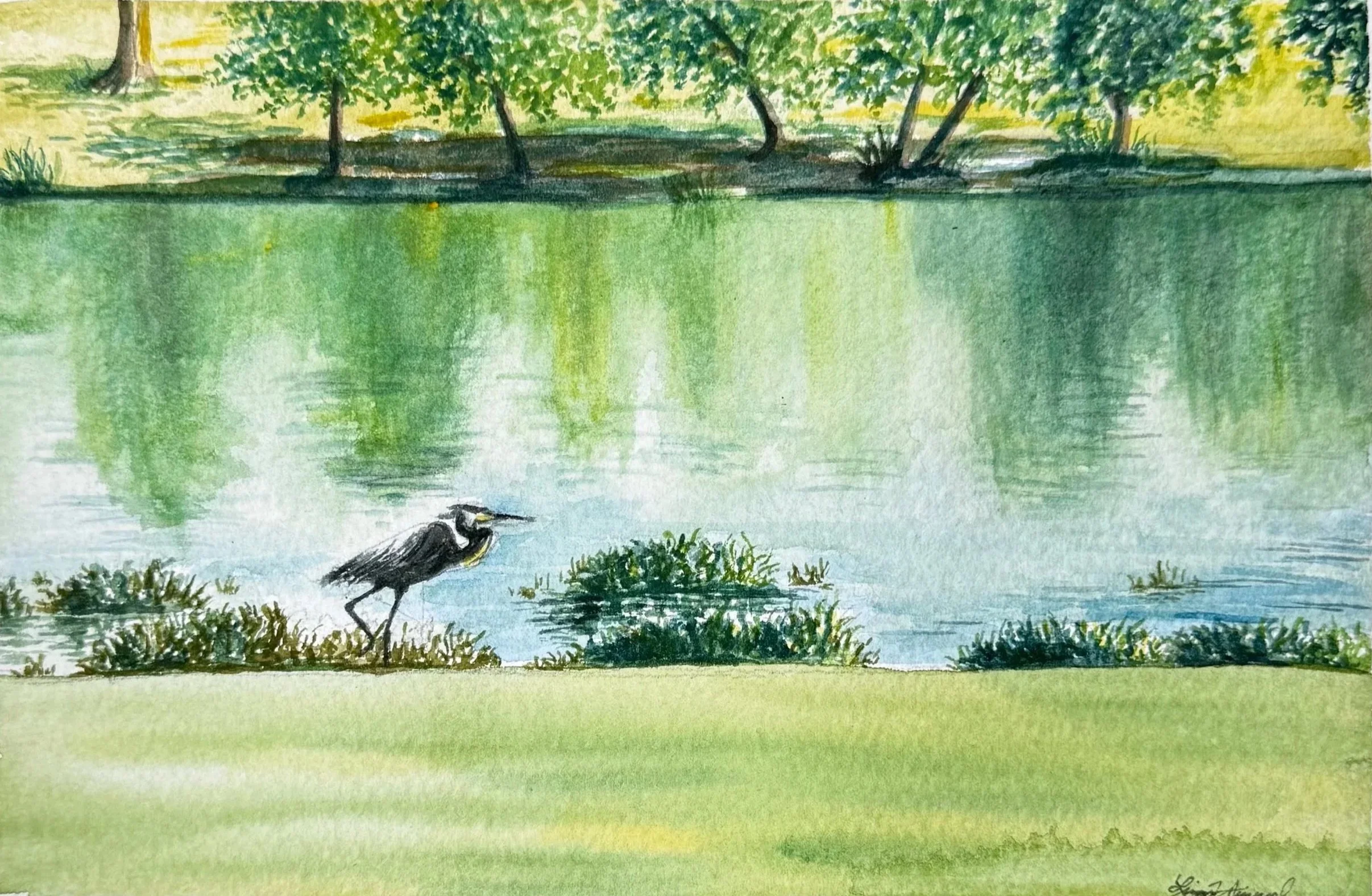 Heron.jpg