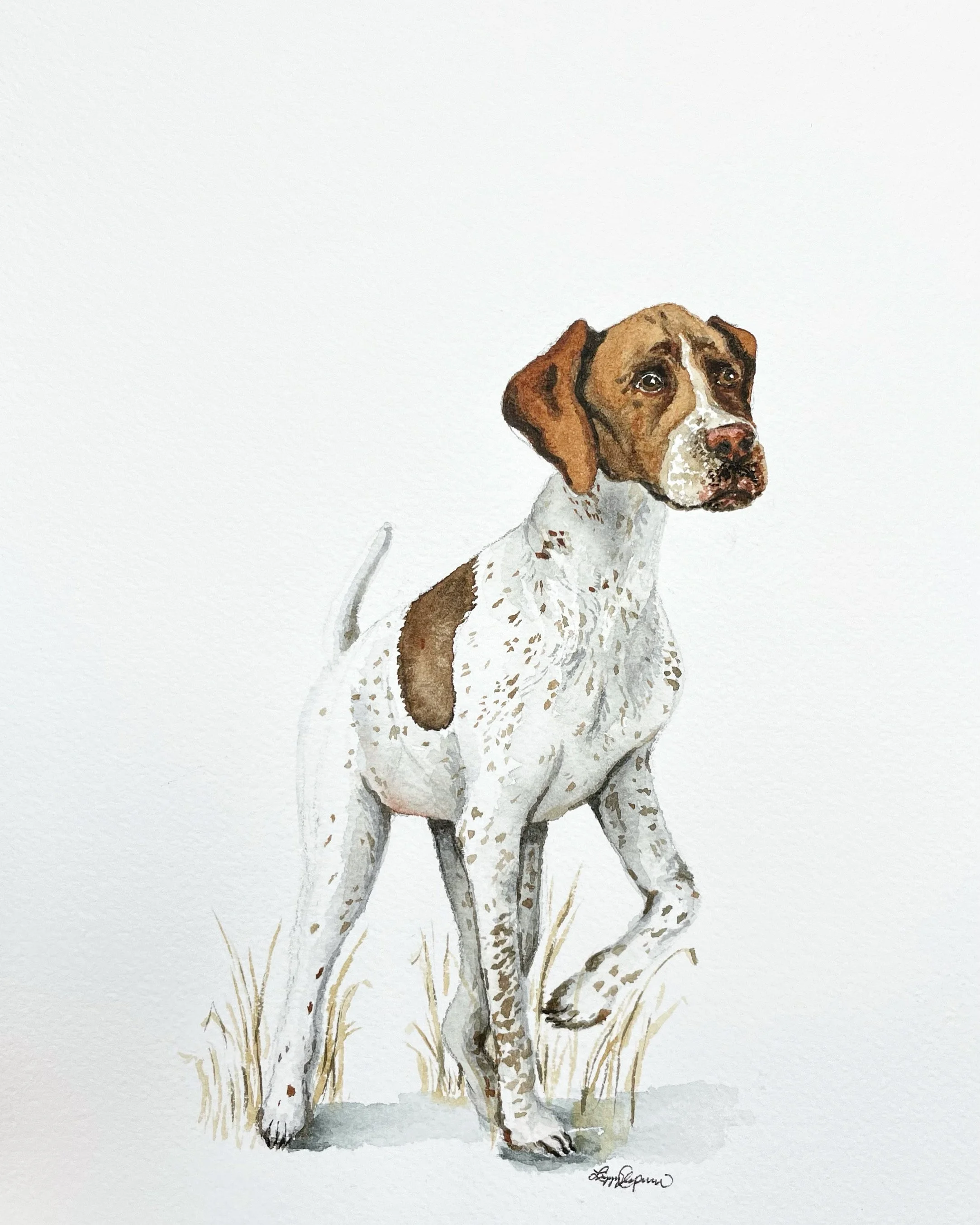 dog10.JPG
