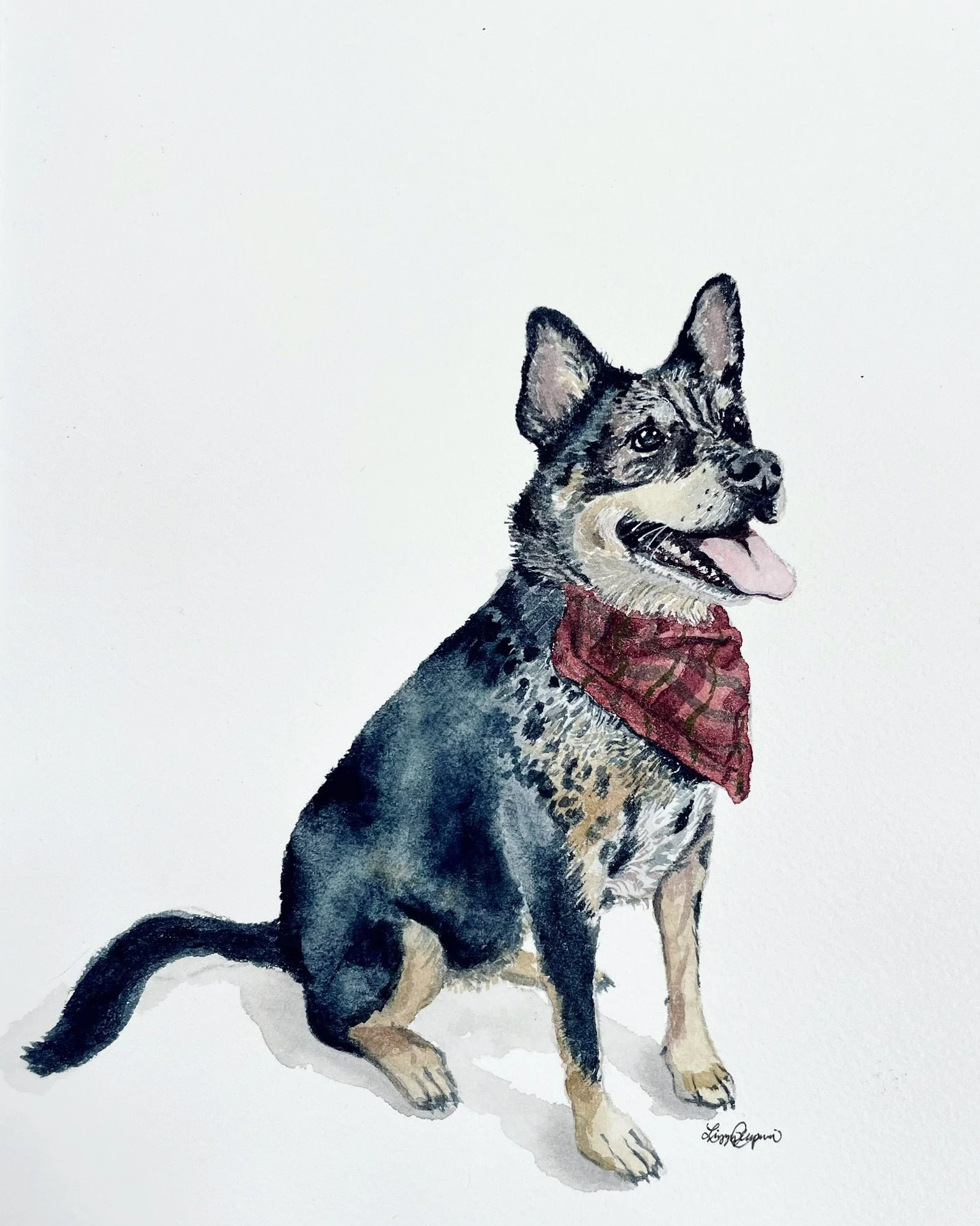 dog9.JPG