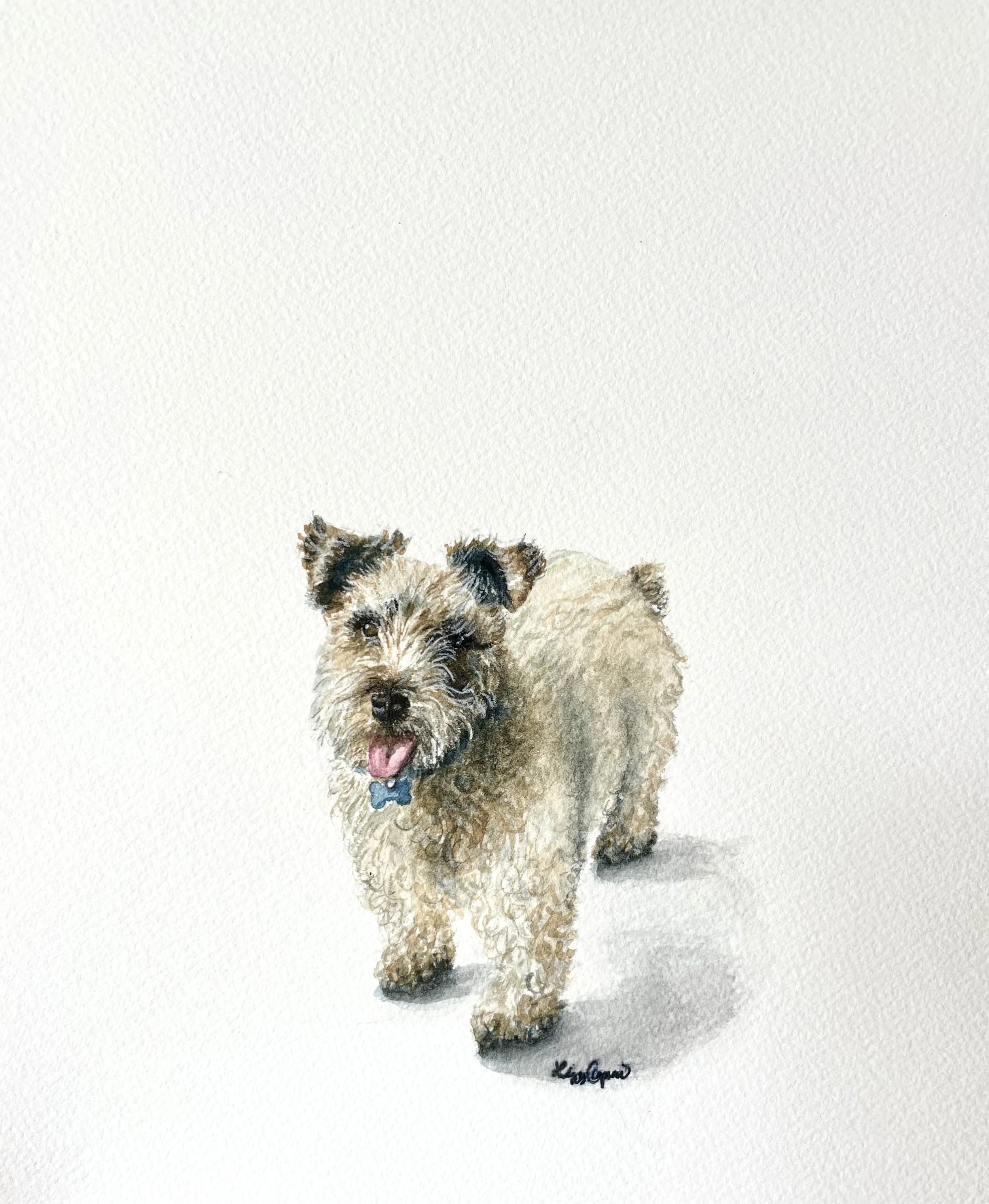 dog8.jpg