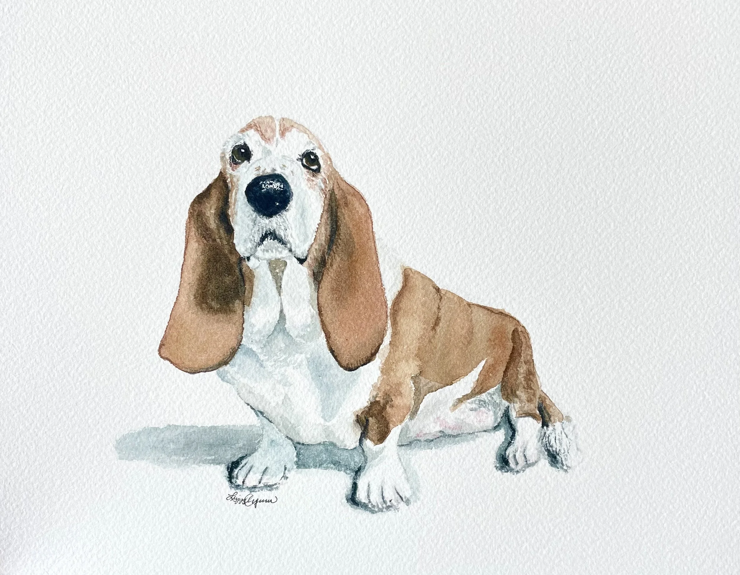 dog7.jpg