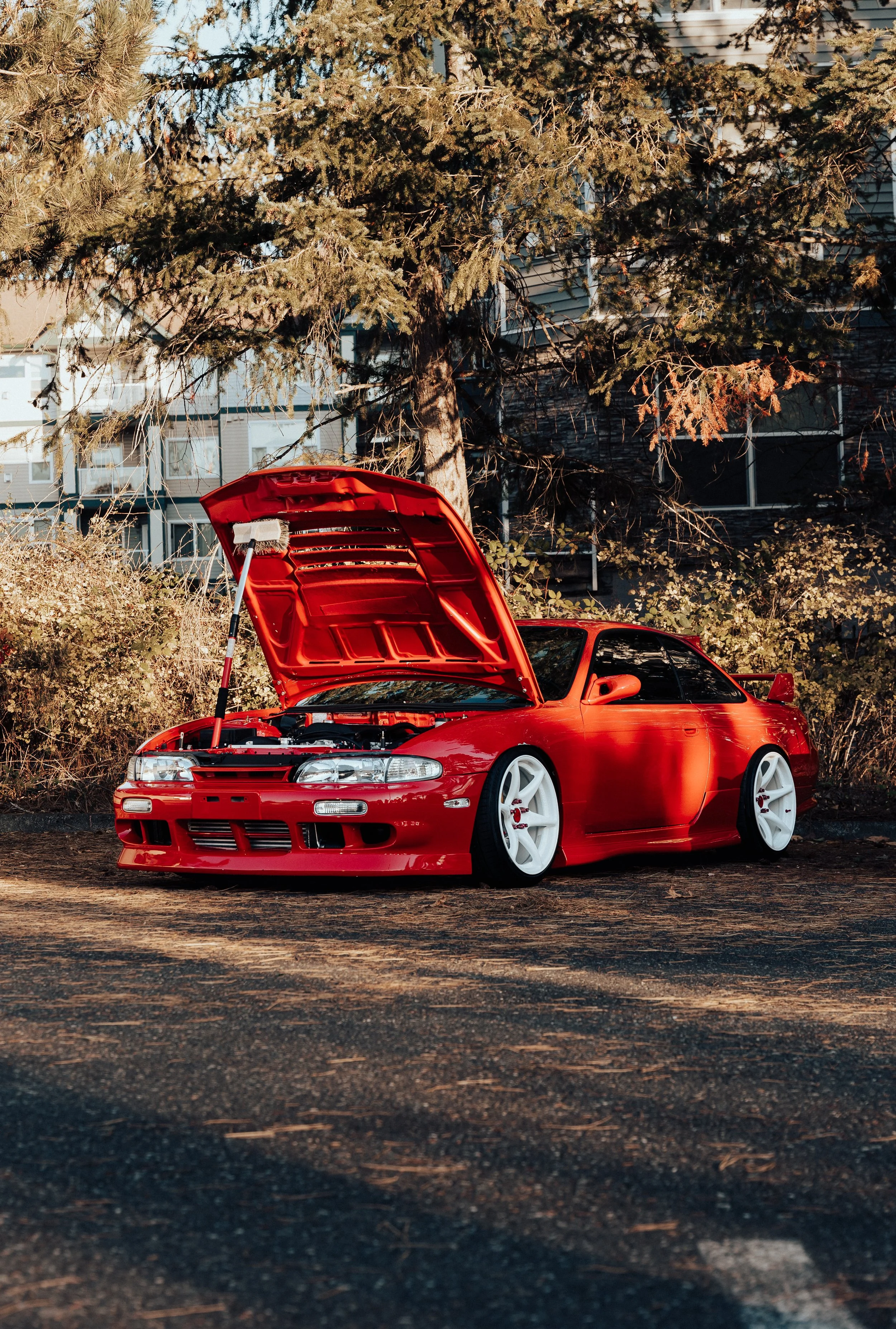 S14-3.jpg