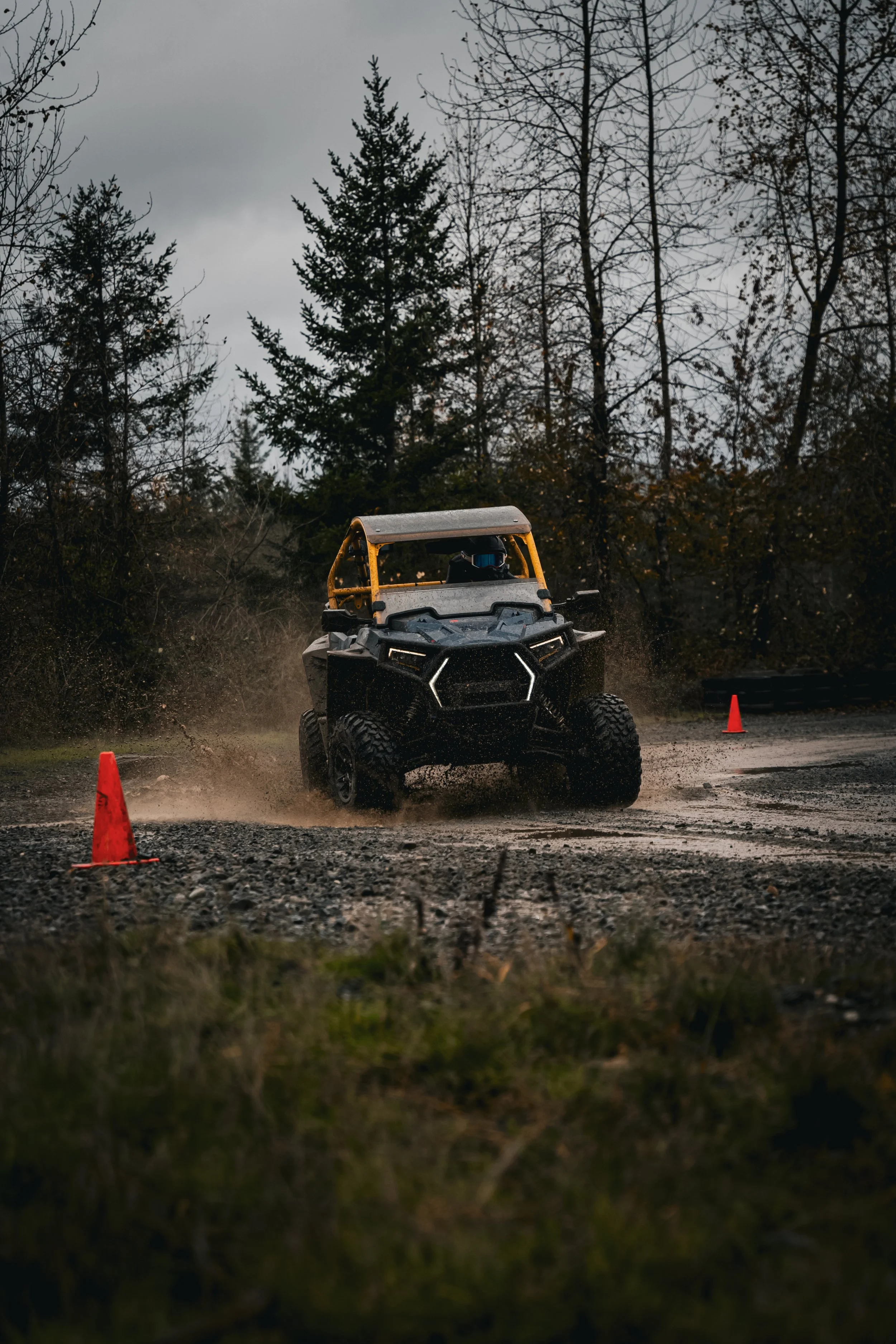 Rx_Nov2024-41.jpg