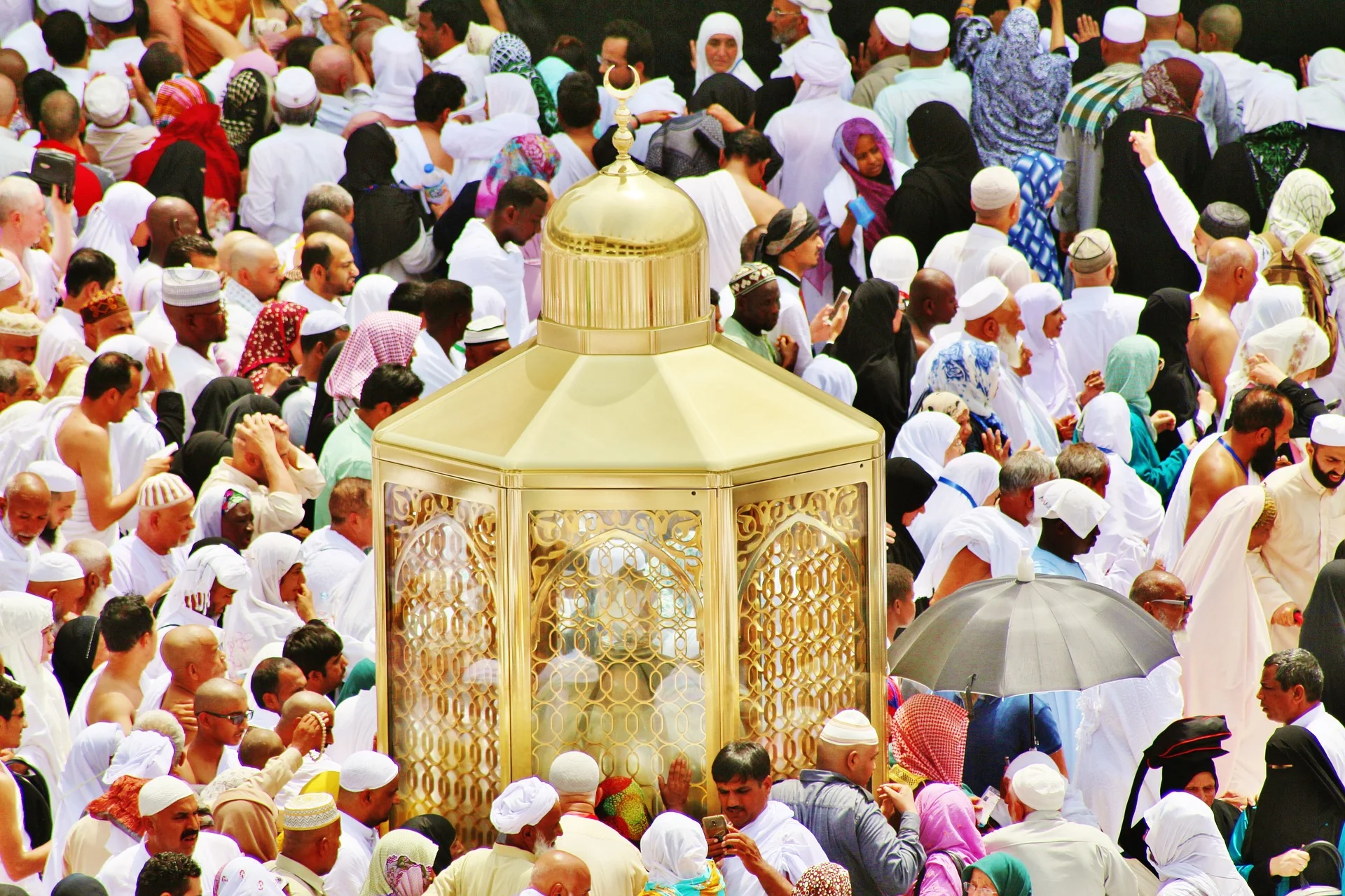 Arabic Ultra-Intensive (starting in July)