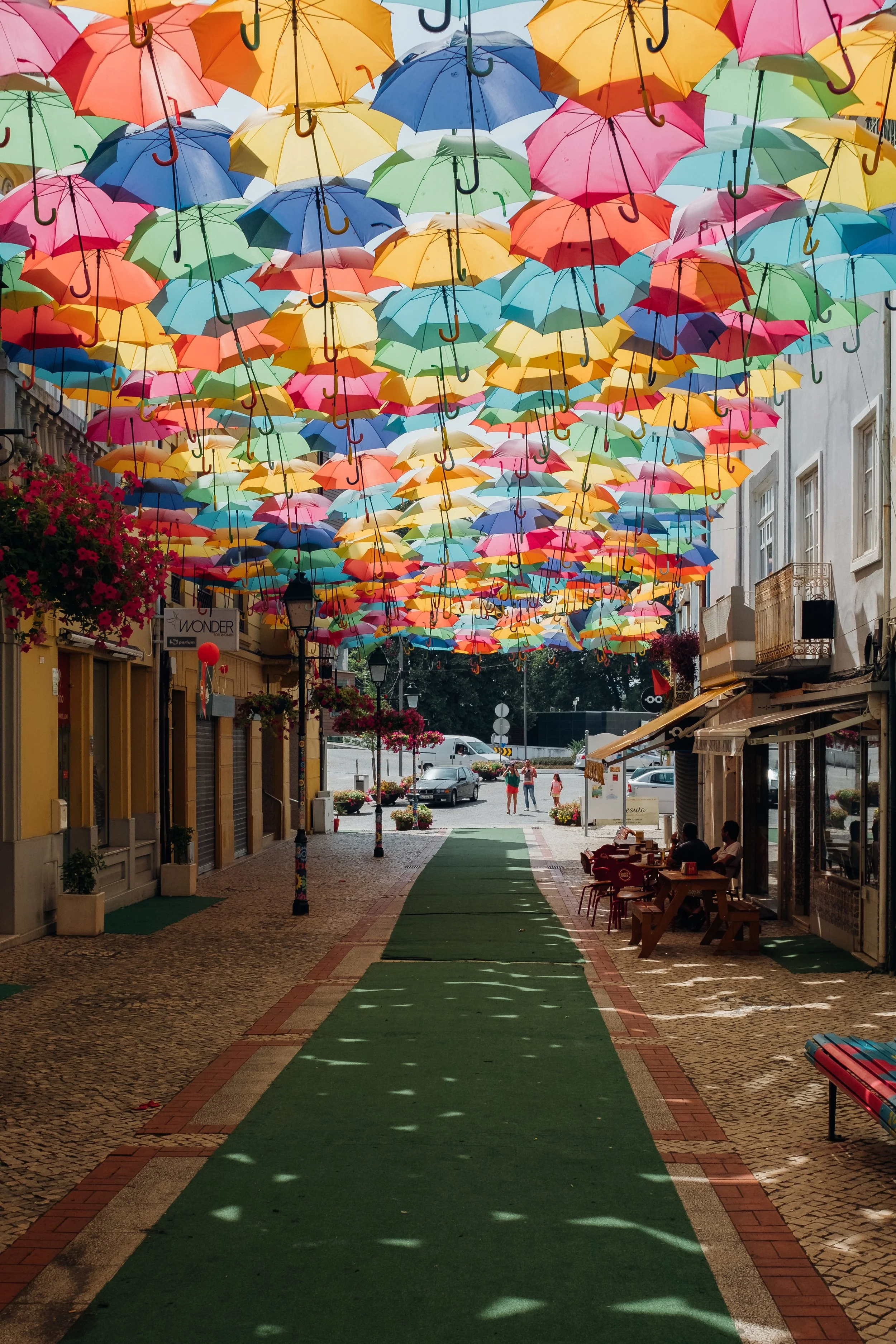Portuguese Weekly: Beginners C