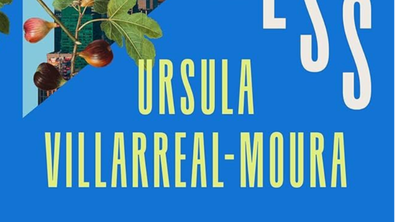 Radical Reads: Like Happiness by Ursula Villarreal-Moura