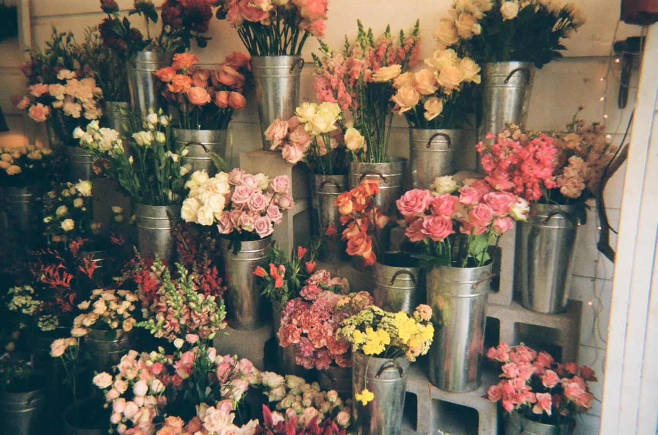 IMAGE 2018-06-13 14:34:48.jpg