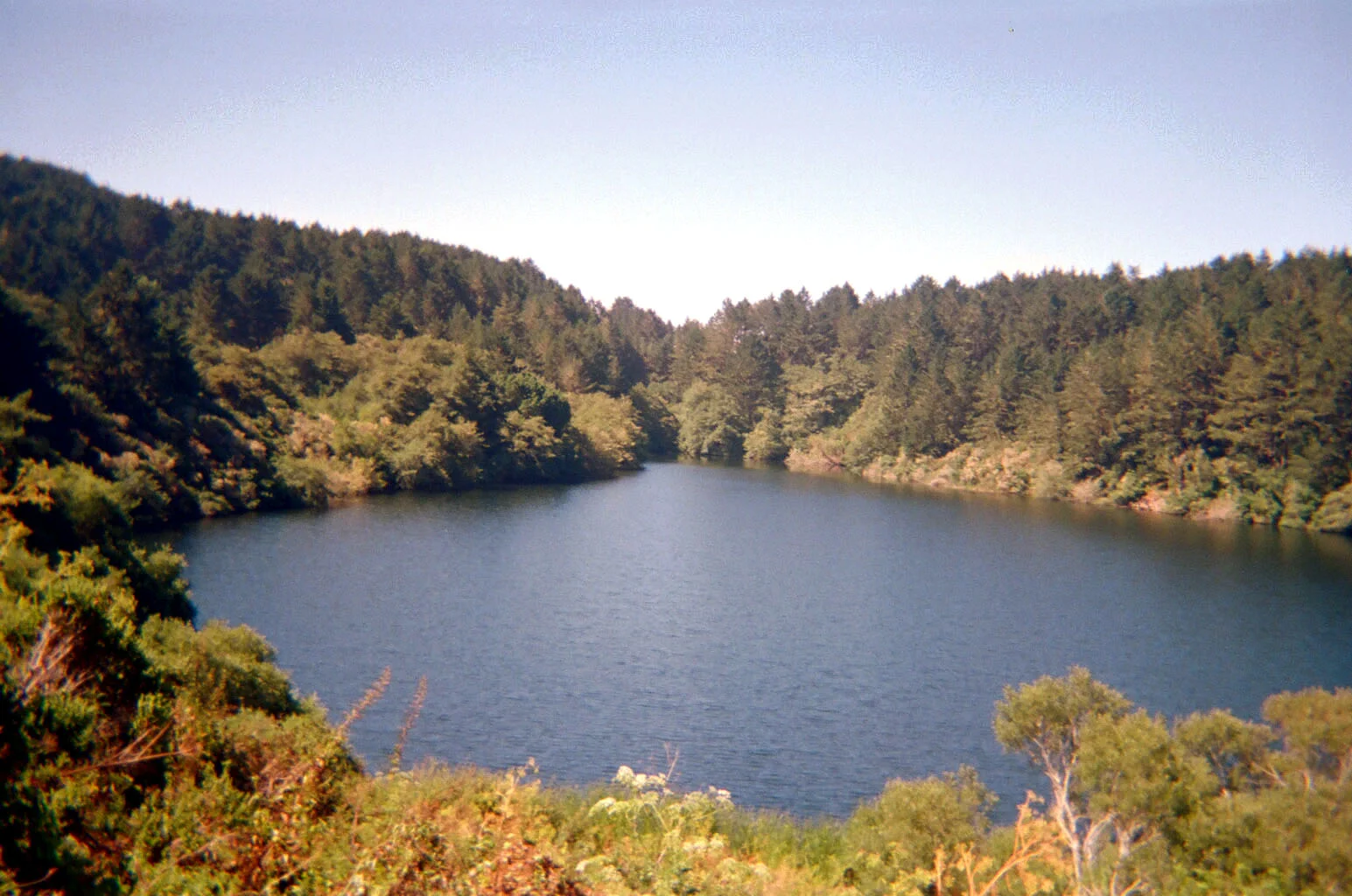 000048120027.jpg