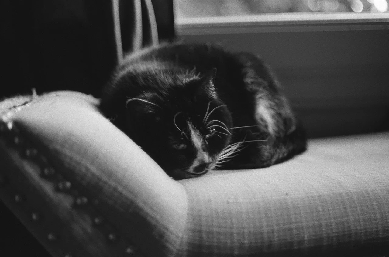 IMAGE 2018-06-13 14:49:42.jpg