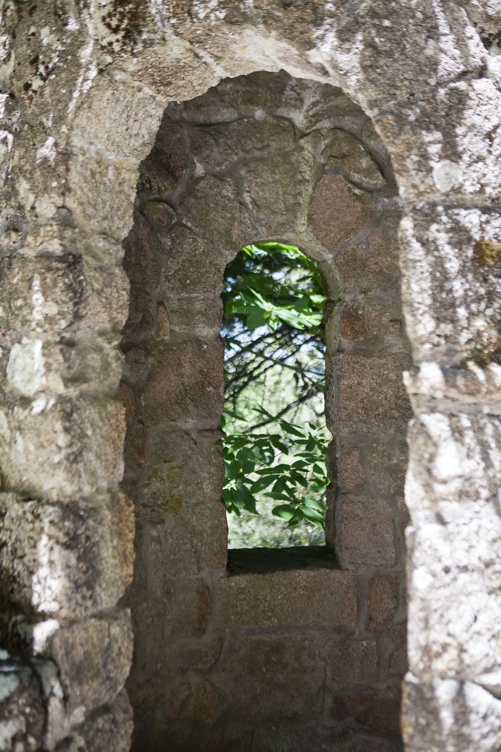 IMG_4098-edited.jpg