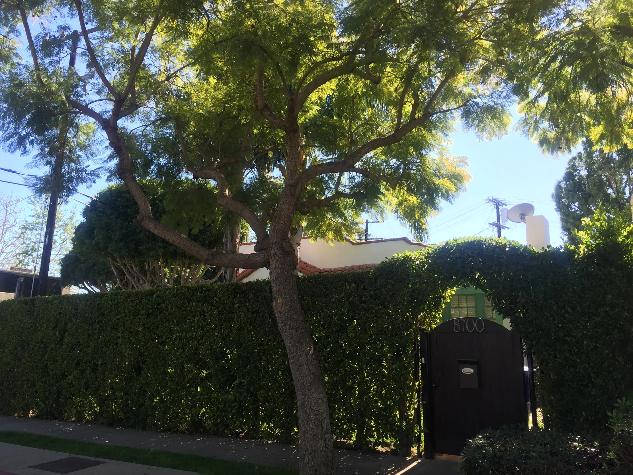 8700 Ashcroft Avenue - West Hollywood