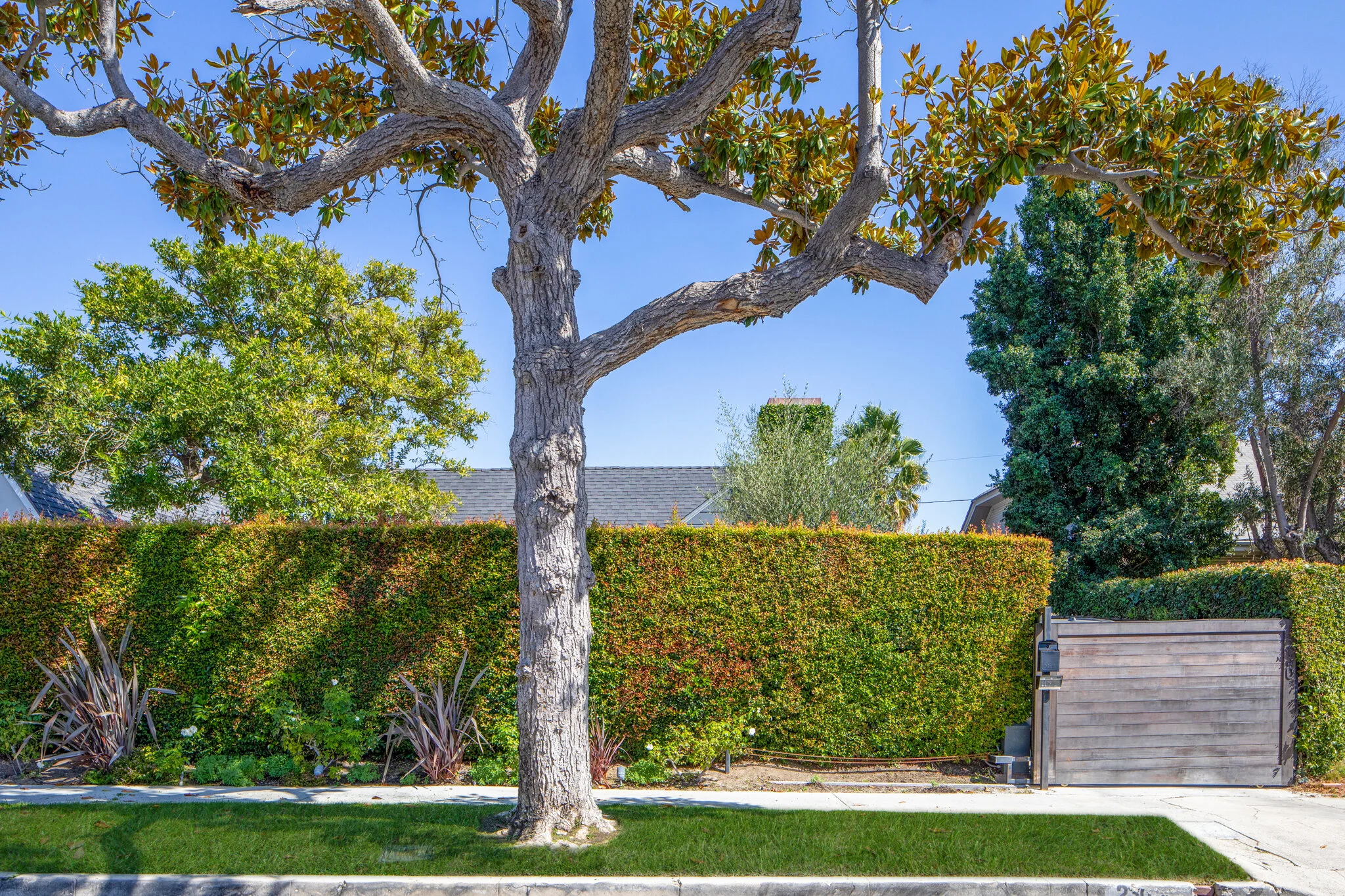 230 Ridgewood_033.jpg