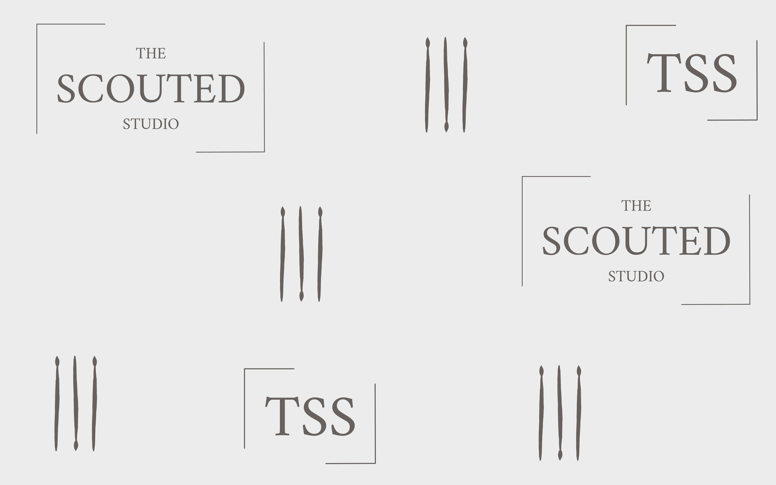 tss_logo.jpg