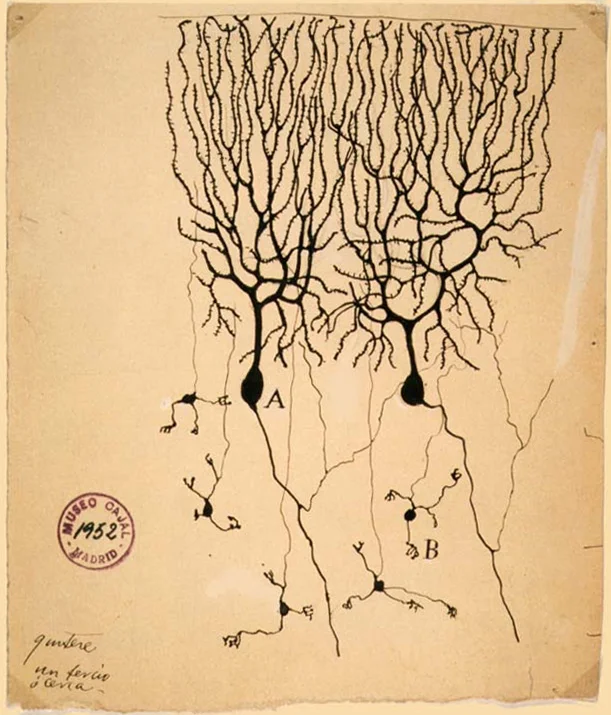 Tech: Minds and Machines