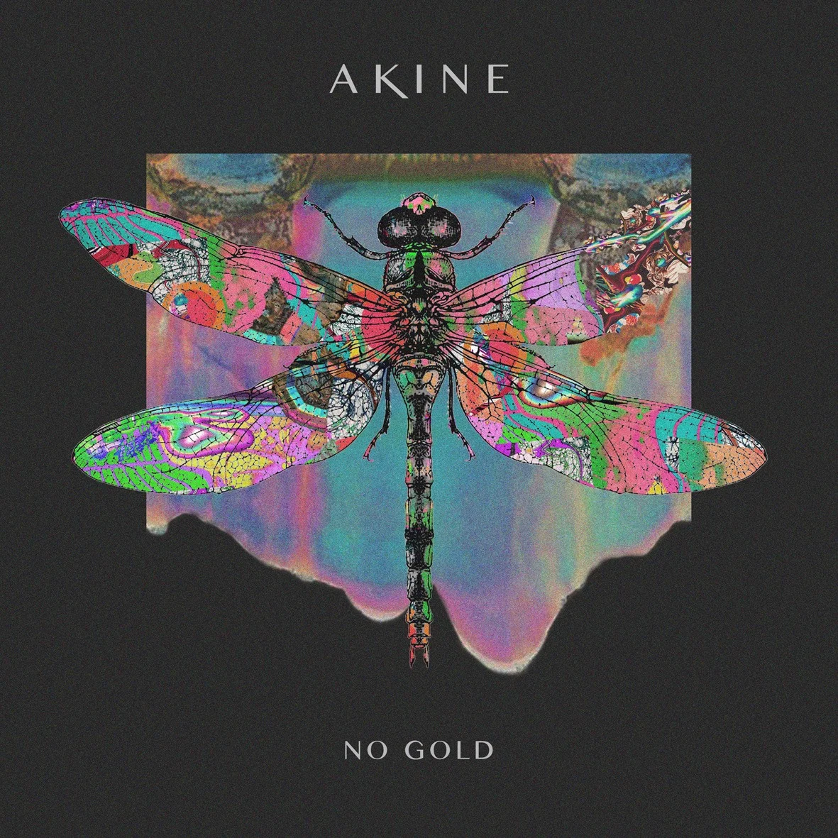 Akine - 'No Gold' 