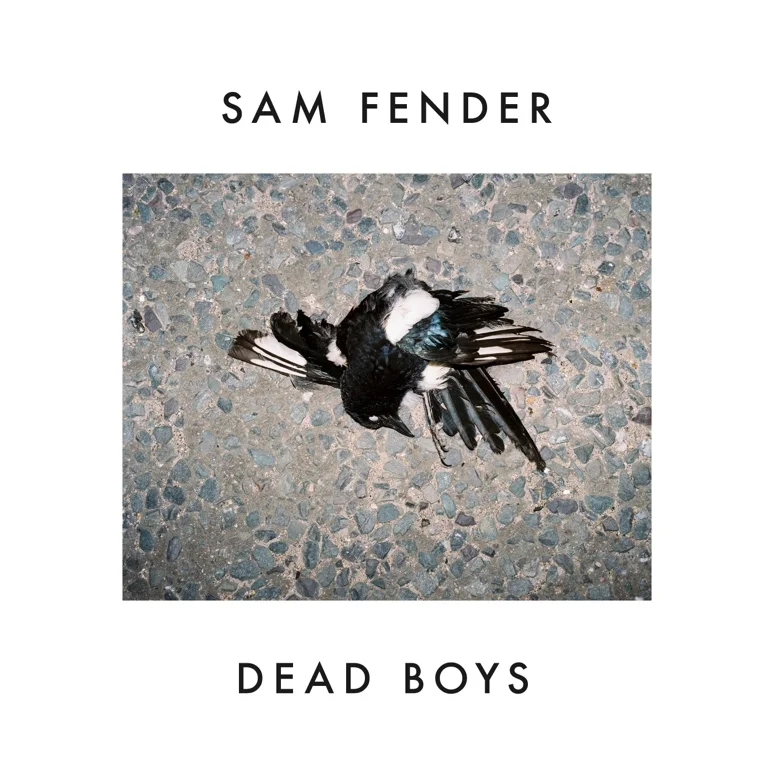 Sam Fender - 'Dead Boys'
