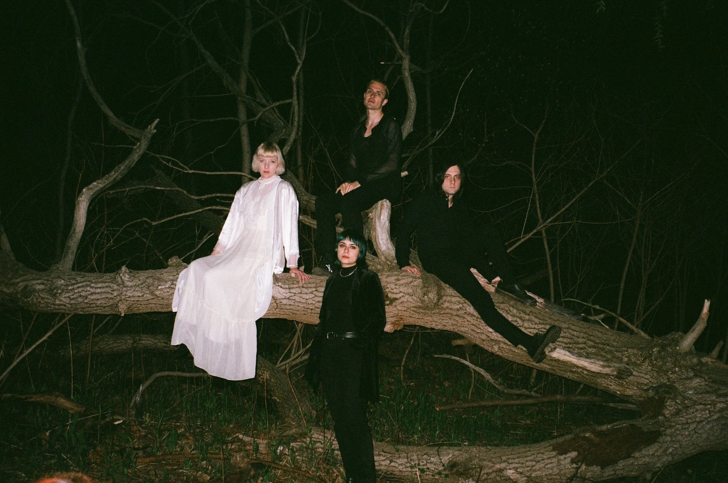 Band Of The Week #0056 - Dilly Dally