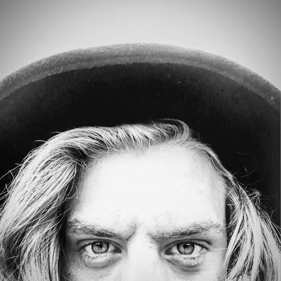 Land Of Trees - 'There's A Reason' 