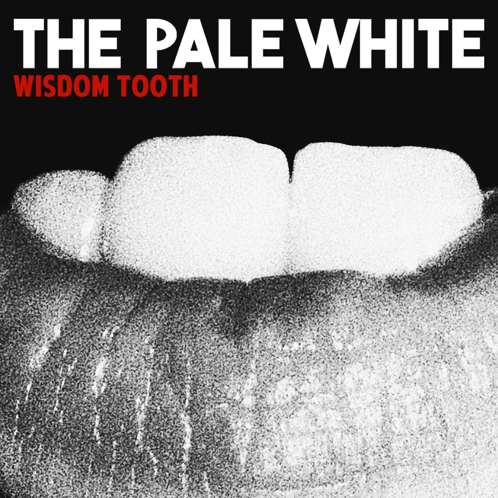 The Pale White - 'Wisdom Tooth'