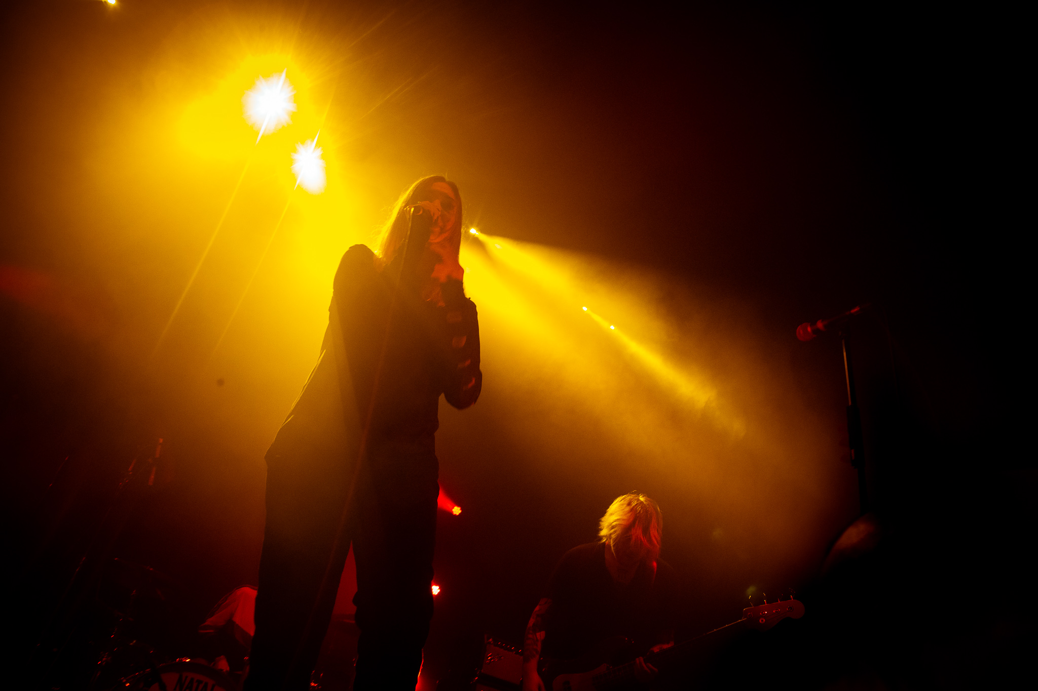 Marmozets-2.jpg